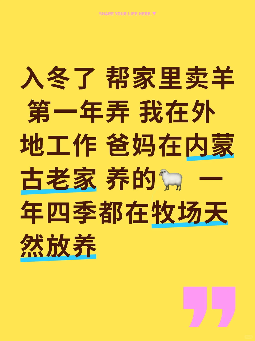 ���������Ǽҵ�����