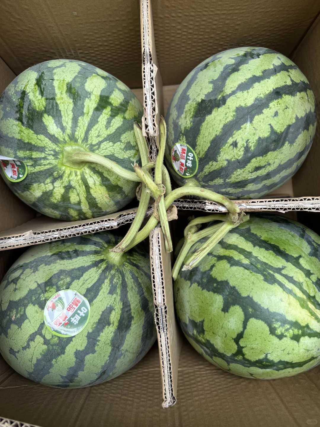 2025��11��13�������ũˮ�������۸�