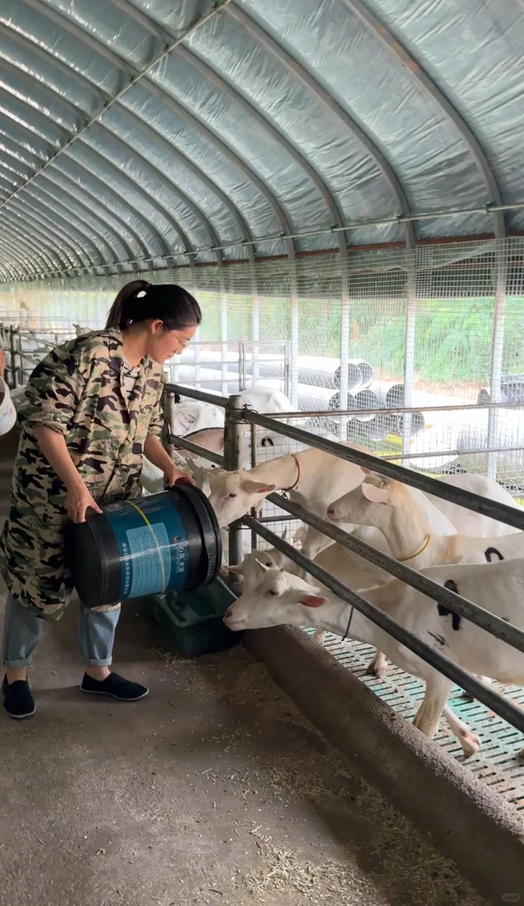 ����˵���ڴ������򣬶������ˣ�