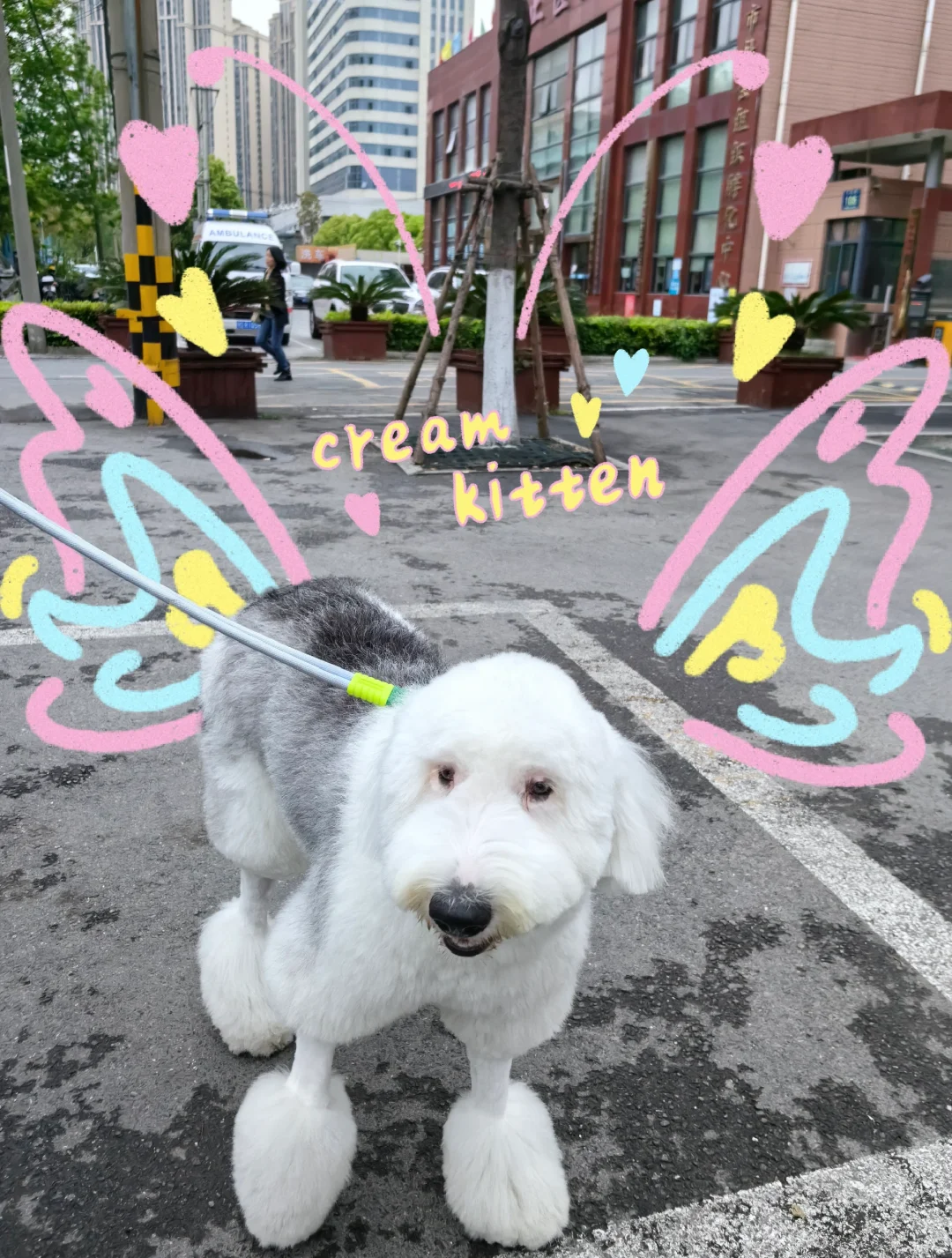 ������������