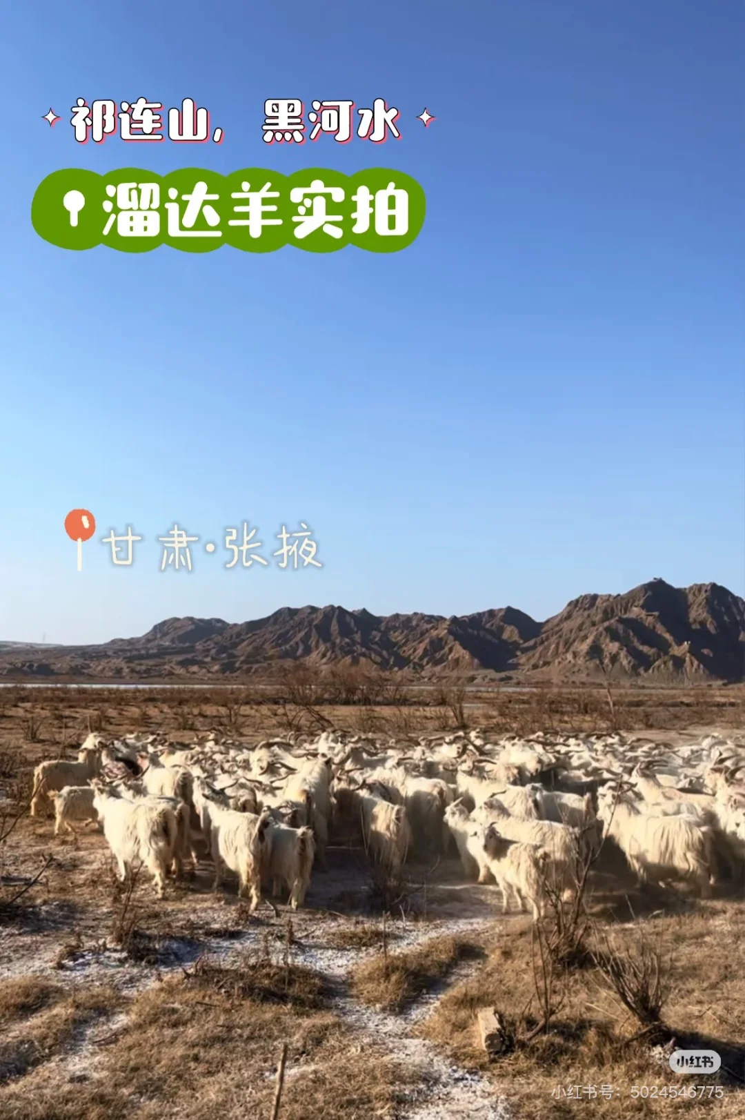 ������񫷸�ˣ�����������