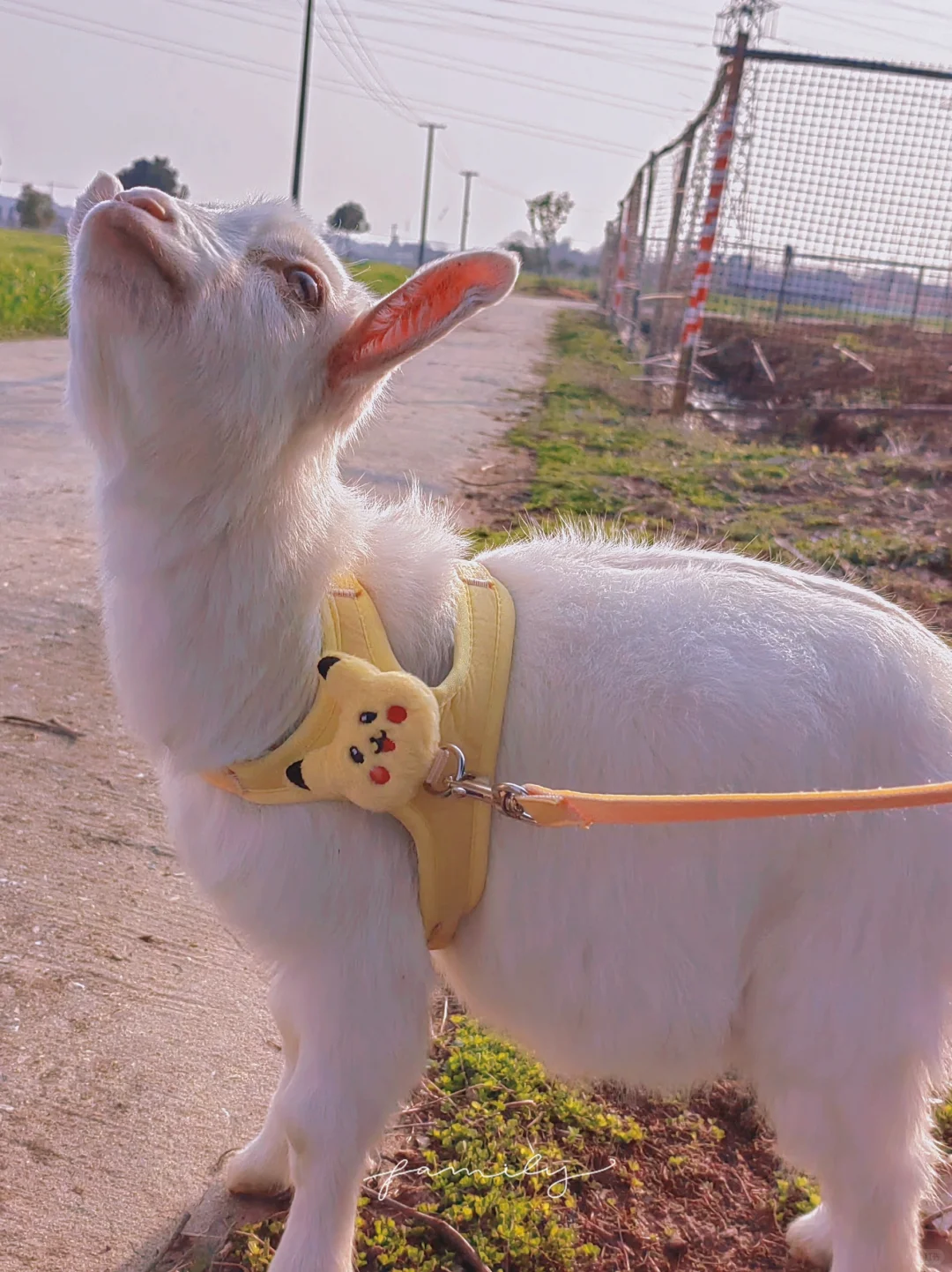 ���Ͼ�������һ�Ҿޱ��˵ĳ�����ũ��������