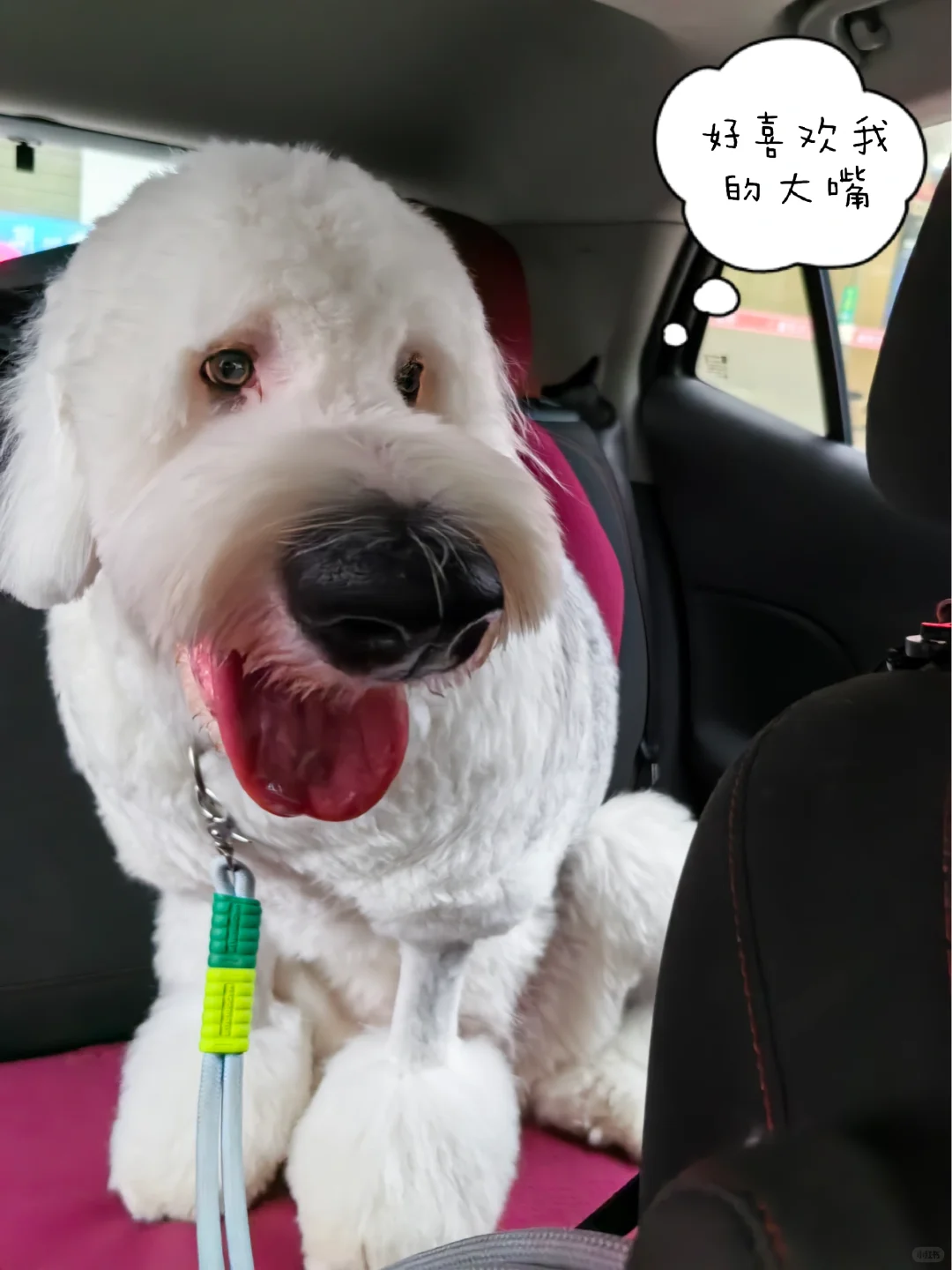 ������������