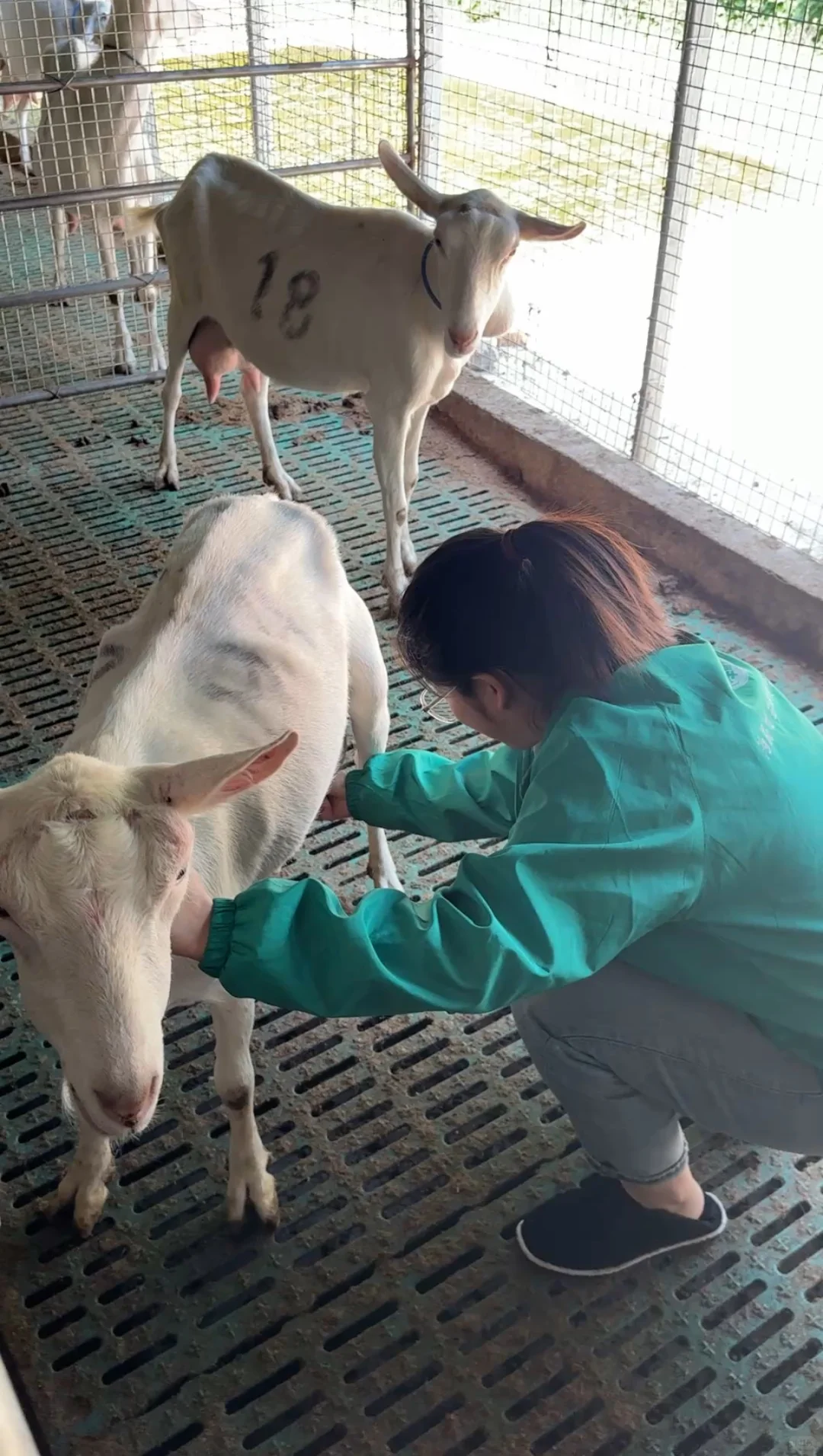 ����˵���ڴ������򣬶������ˣ�