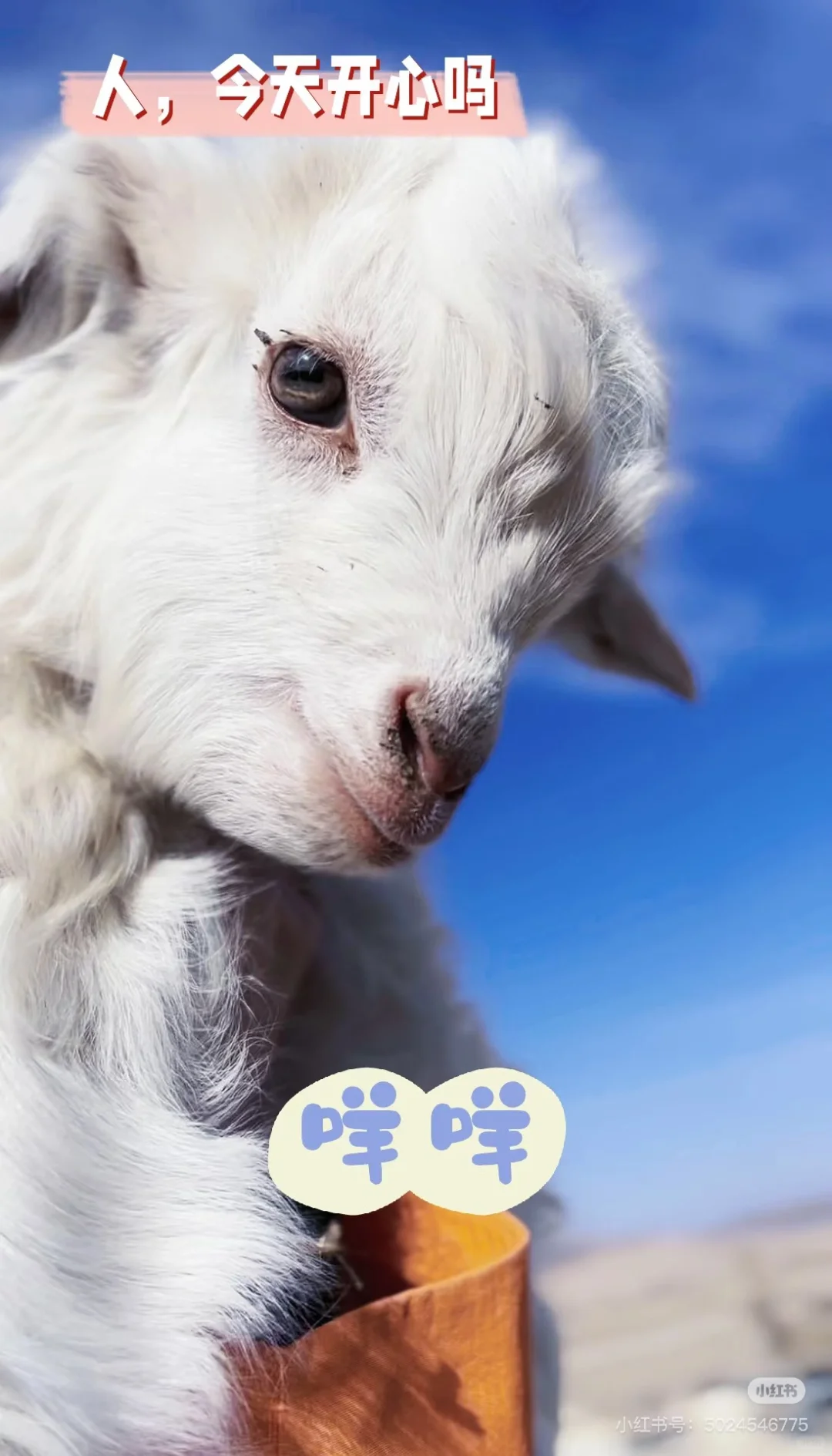 ������񫷸�ˣ�����������