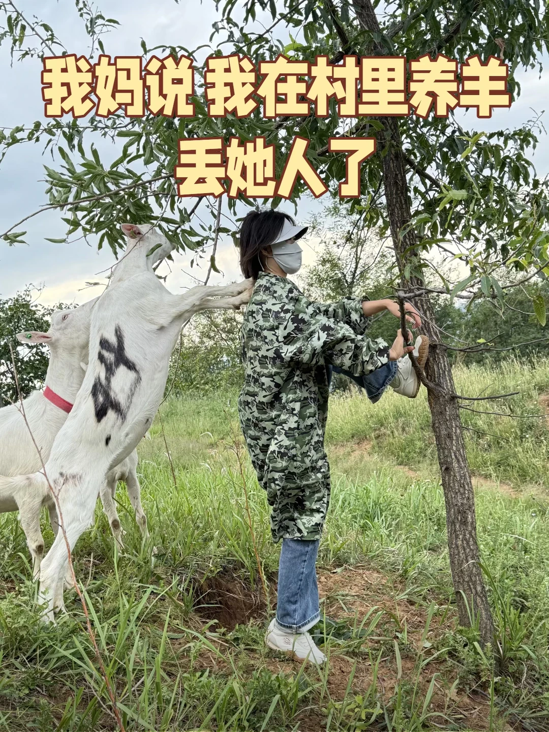 ����˵���ڴ������򣬶������ˣ�