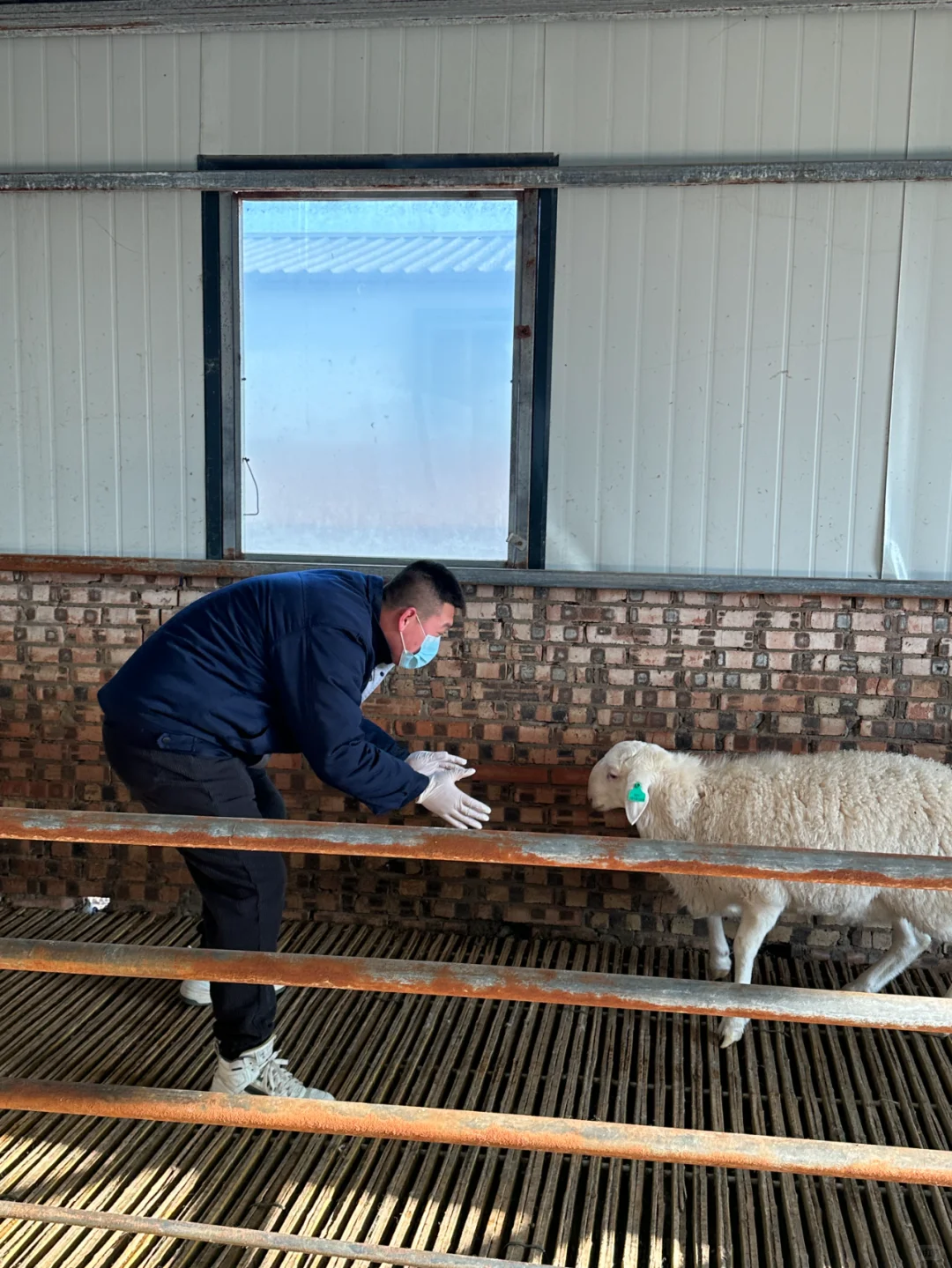 �������ֵı�����ֳ�󻧣�6��ι����ᣡ