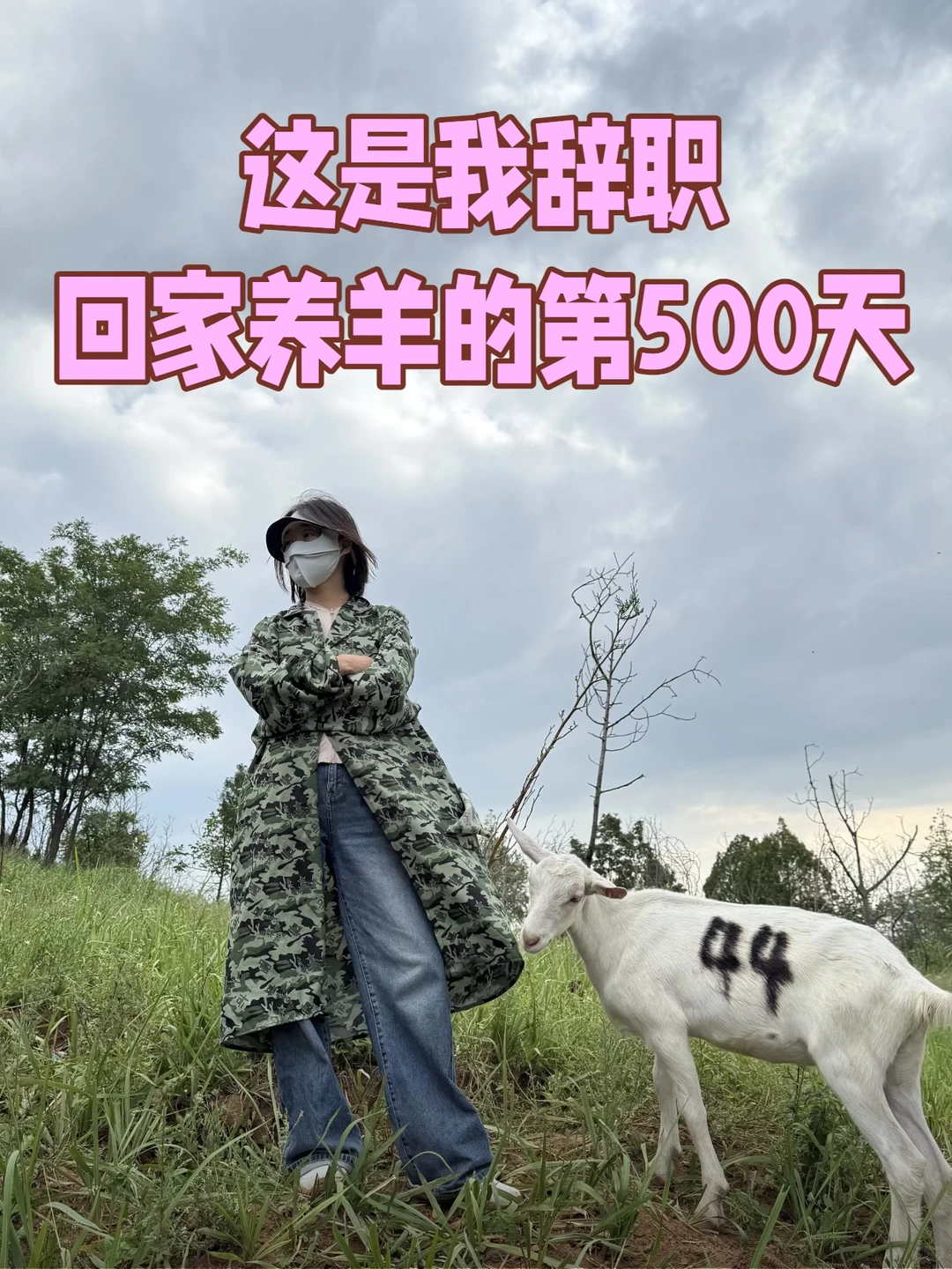 �����Ҵ�ְ�ؼ�����ĵ�500�죡