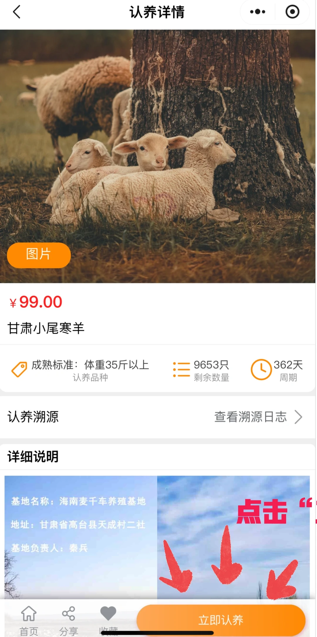 ������񫷸�ˣ�����������