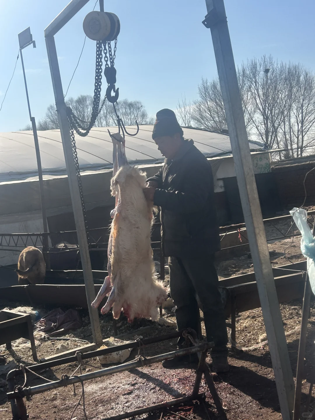 ����������԰�