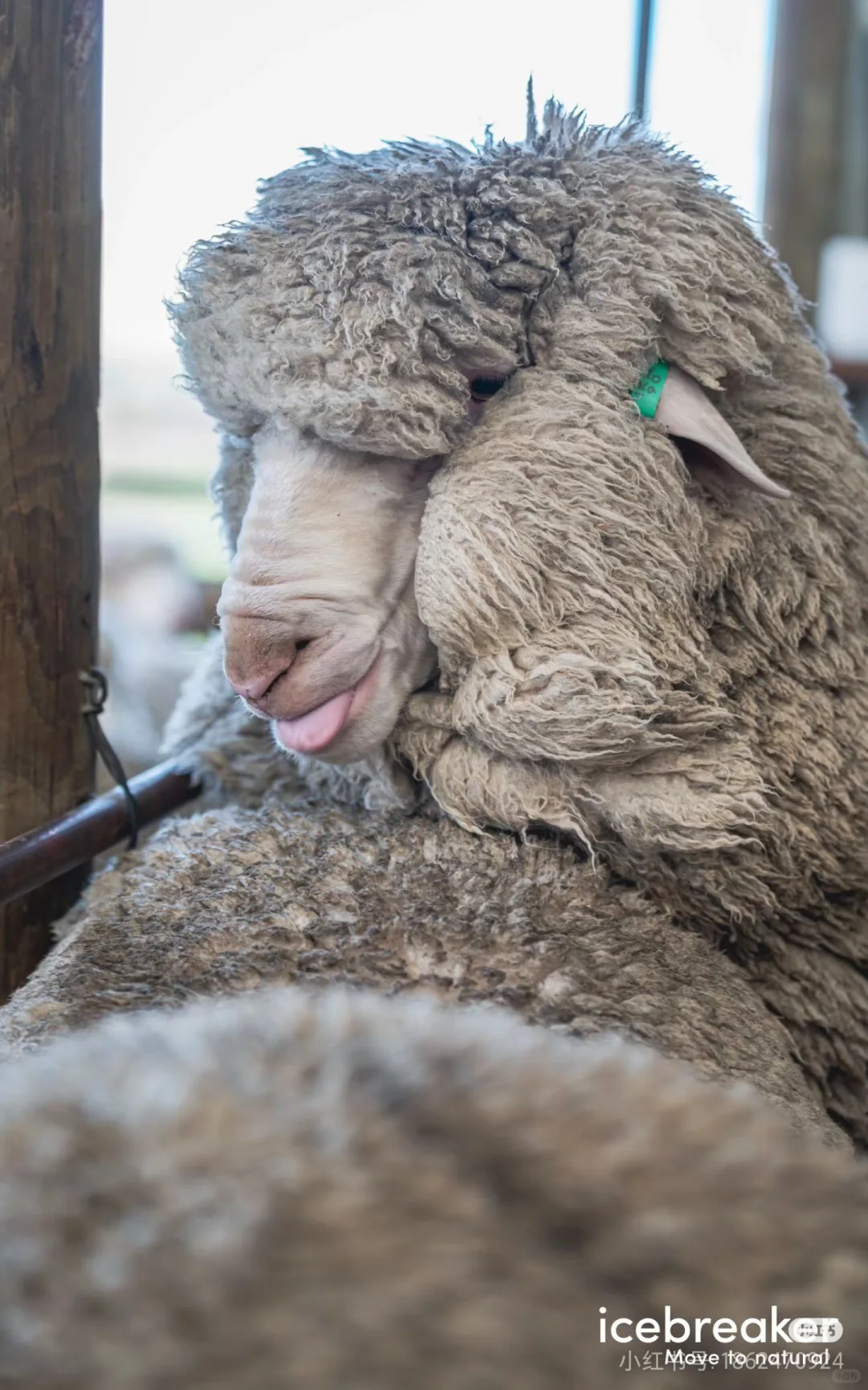 ����ʽ����?����С�򳤴󵽵�Ҫ������