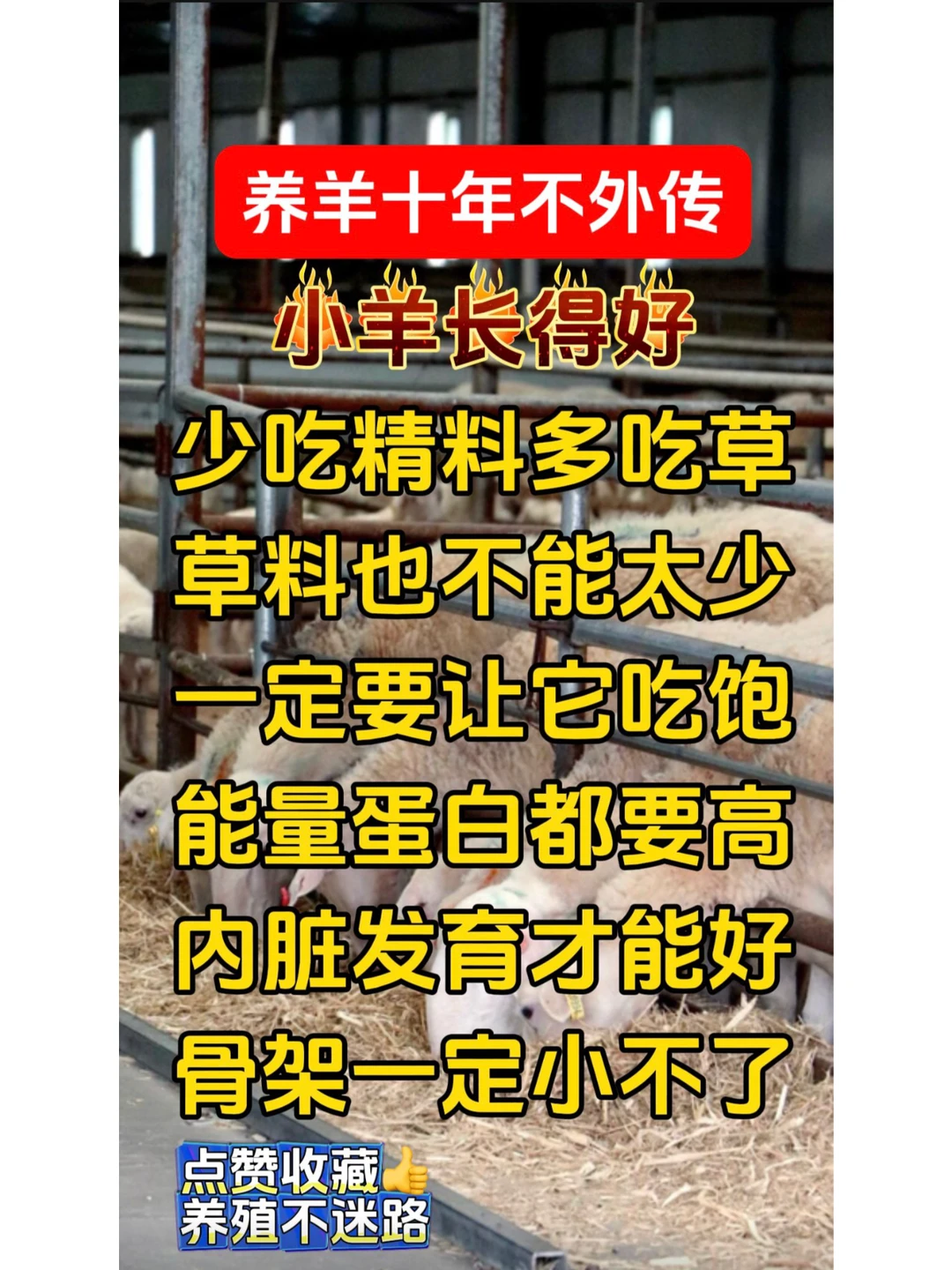 Ҫ��С�򳤵ú� ��ι��Щ