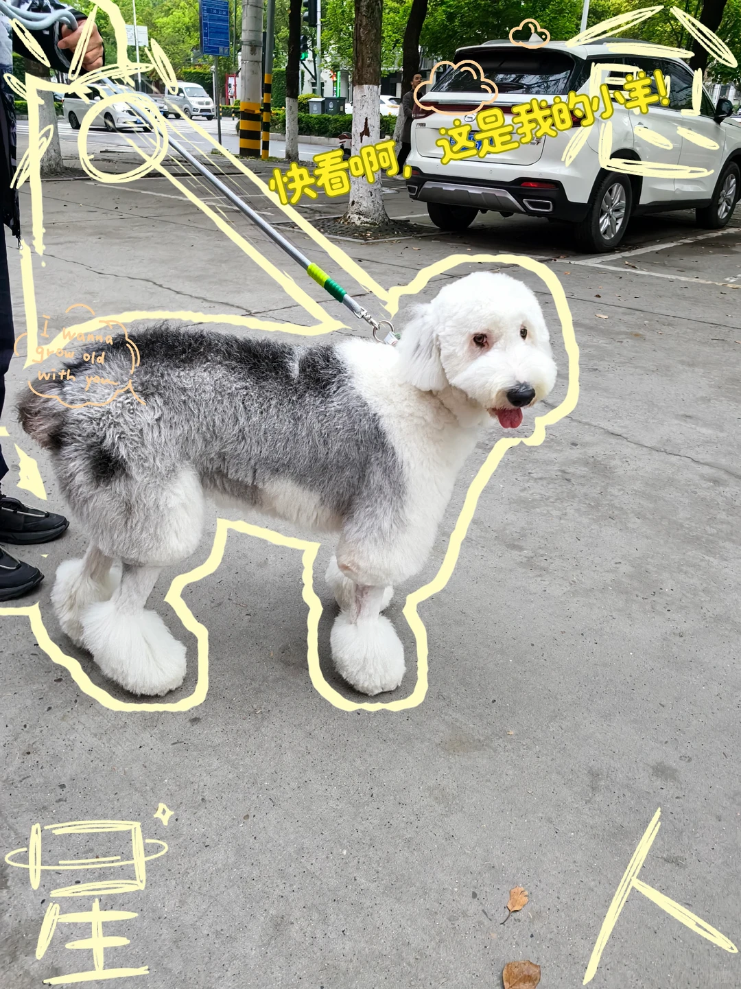 ������������