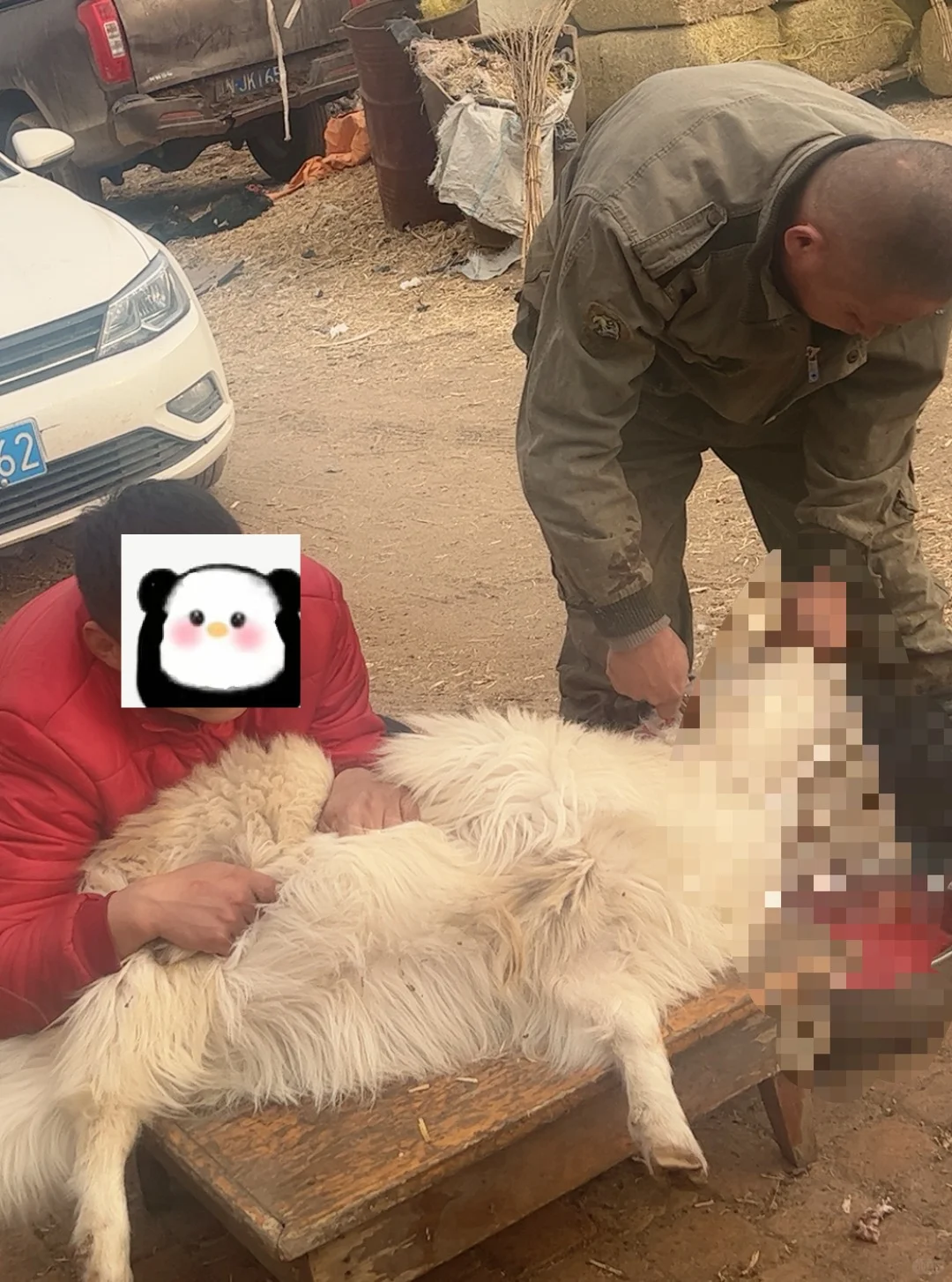 ����������԰�