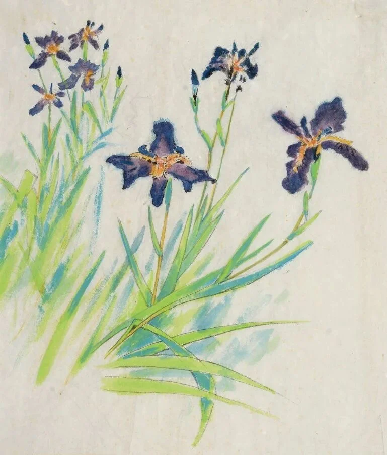 ���ҵ��ľ���һ�������ˡ�