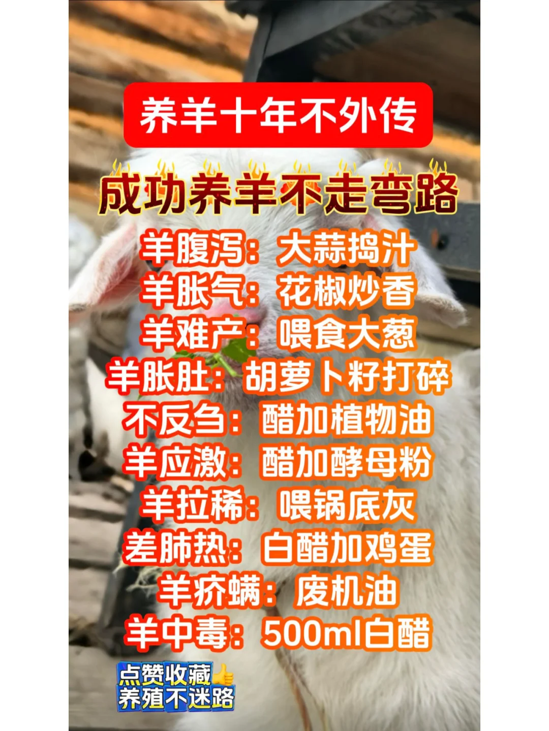 �ɹ���������·