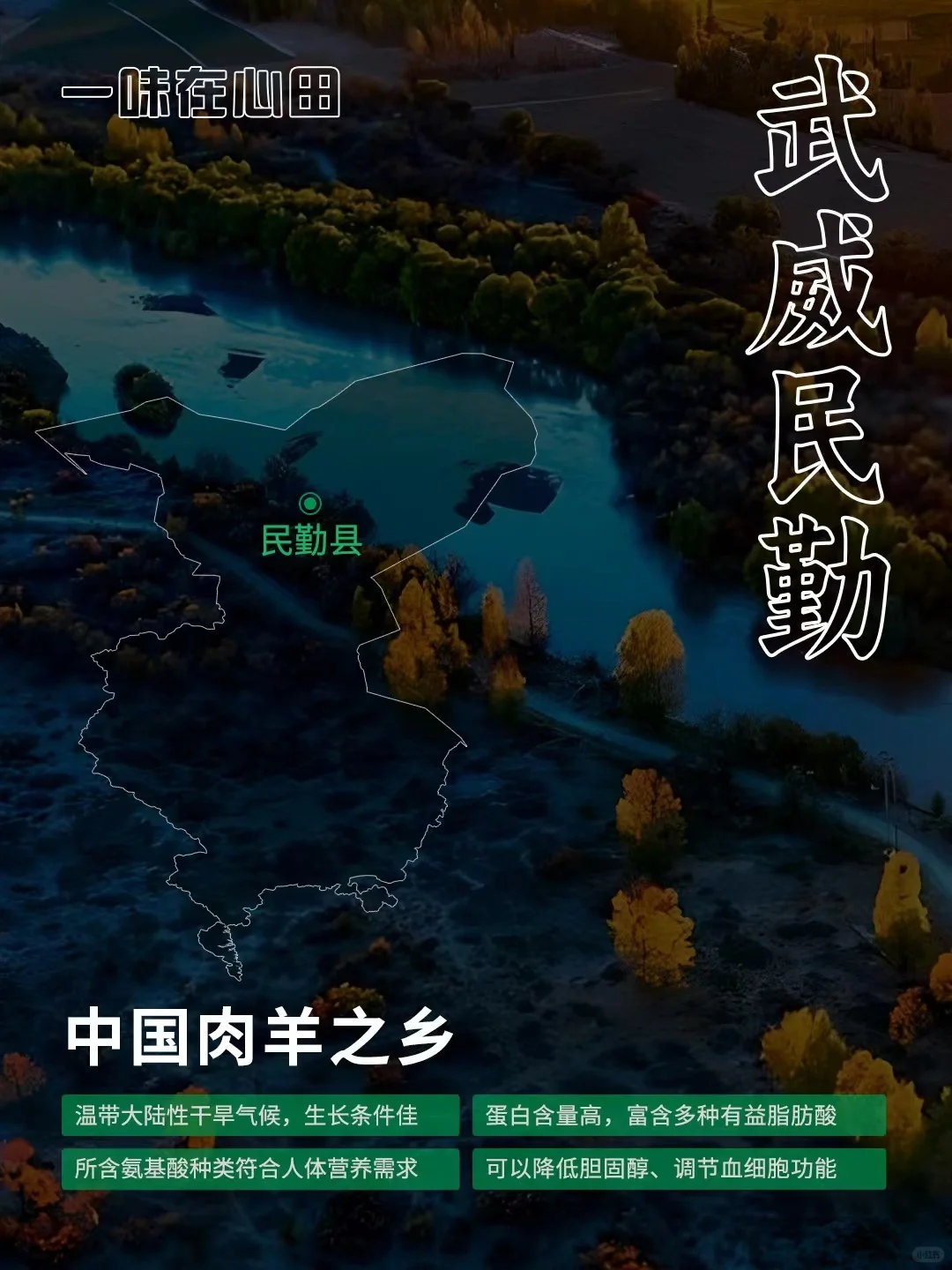 �������£��������