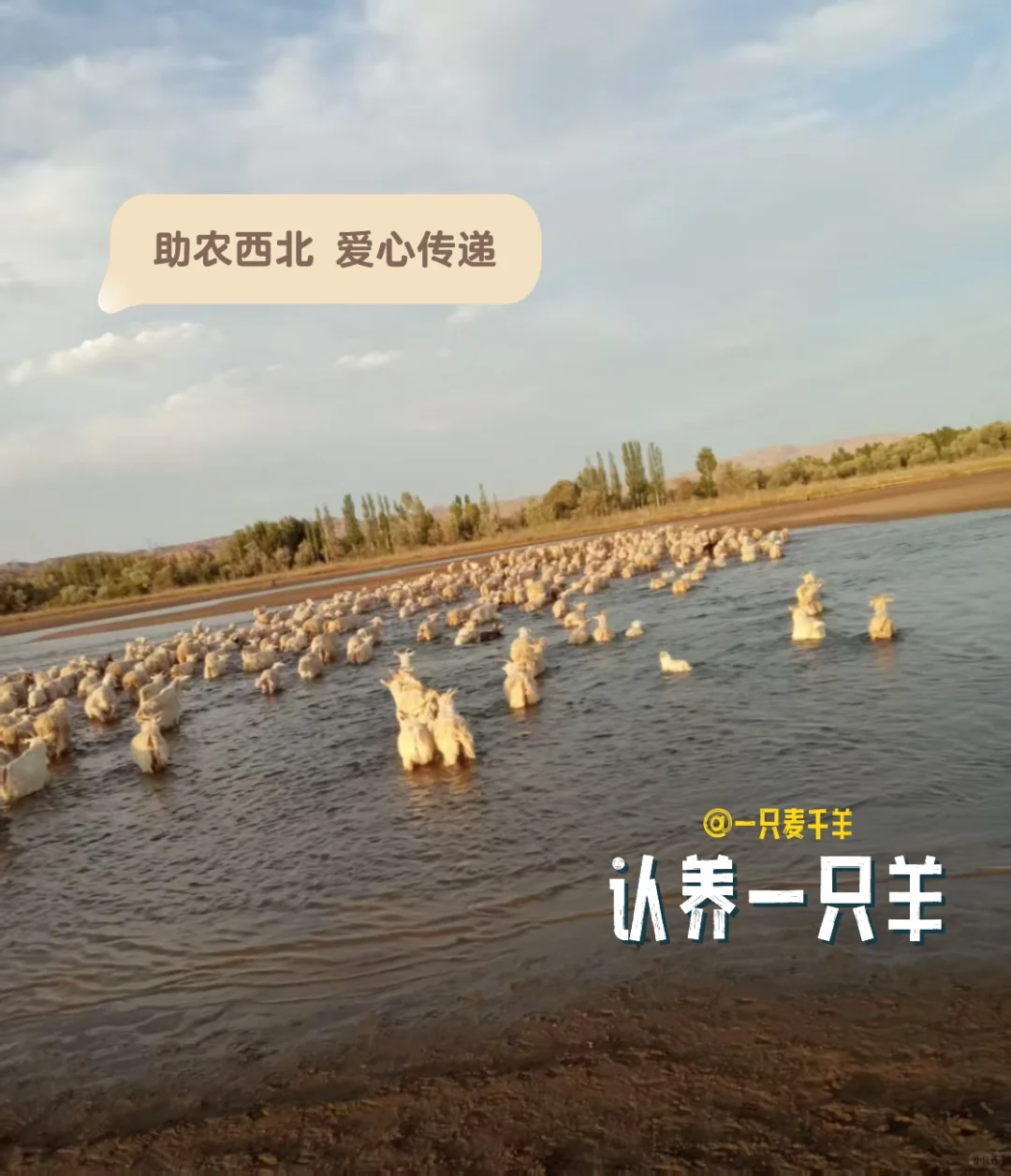 ������񫷸�ˣ�����������