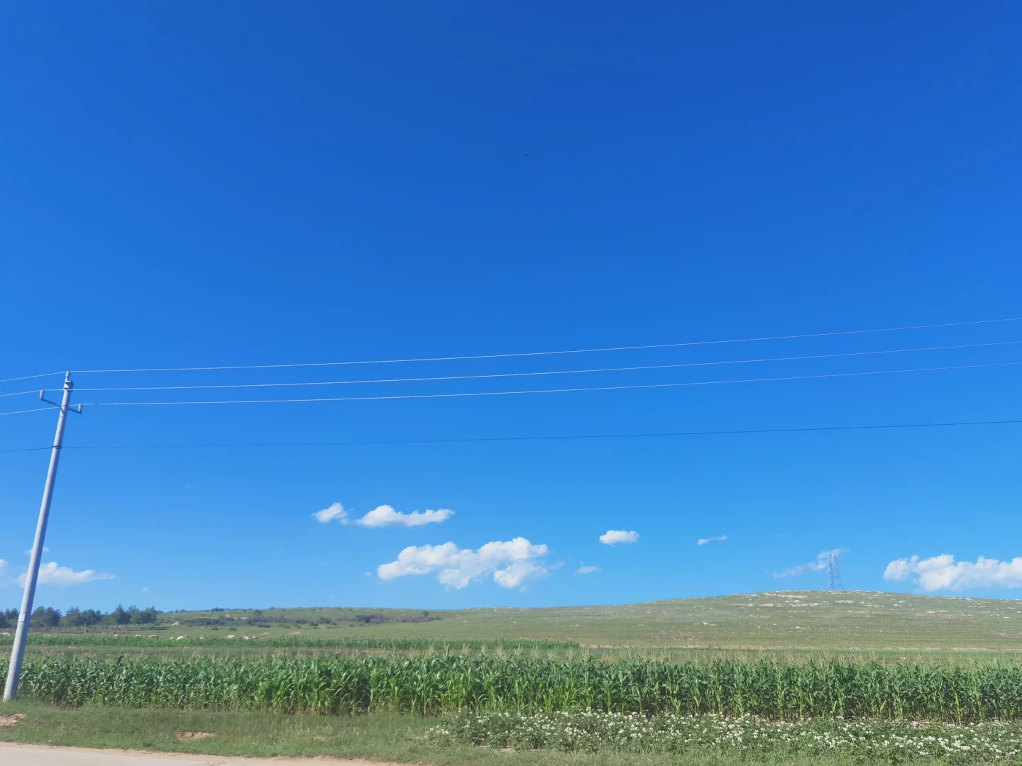 ��������������������ũ����������ʲô����