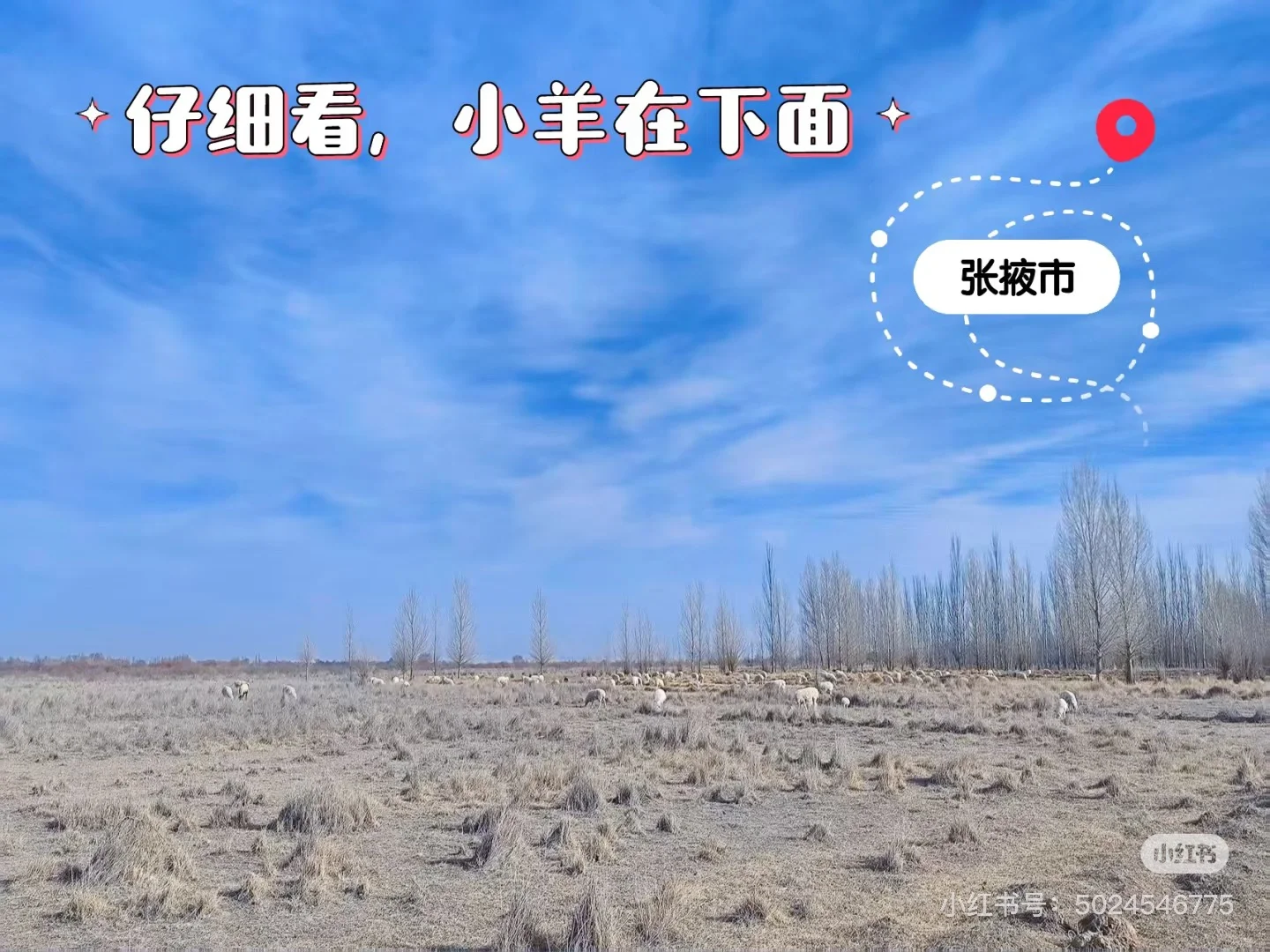 ������񫷸�ˣ�����������