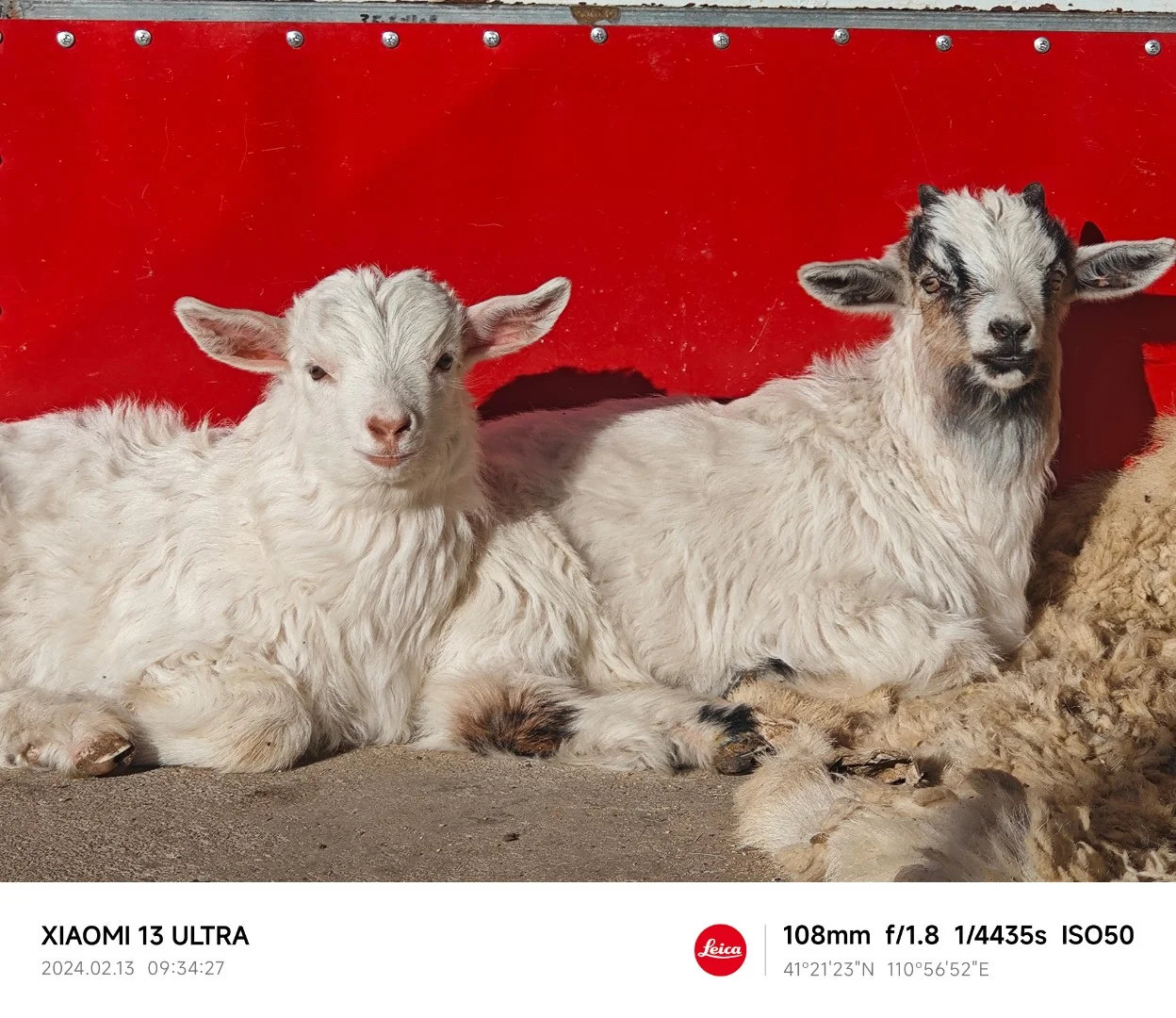 �����ɹŲ�ԭ��������