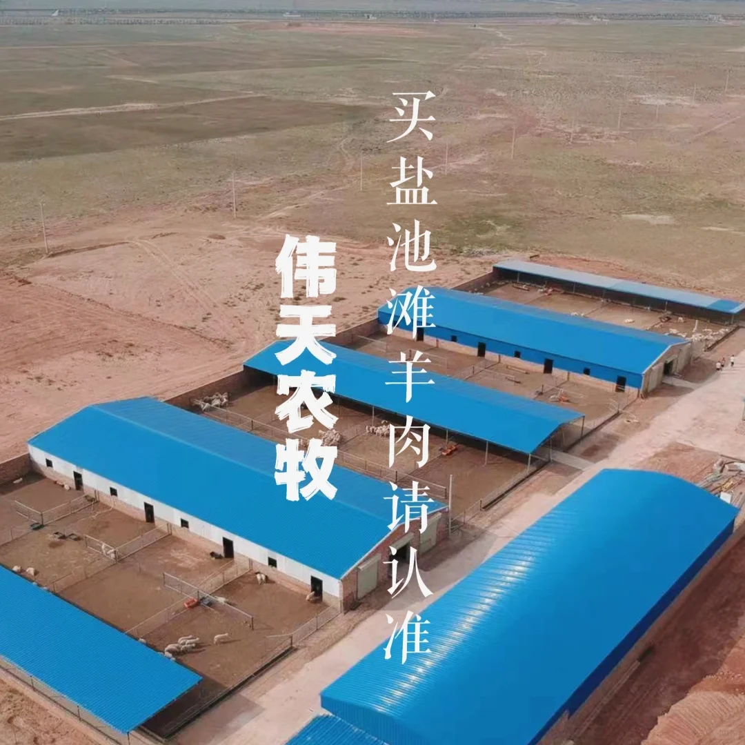 �Լ��γ�̲��򵥽���