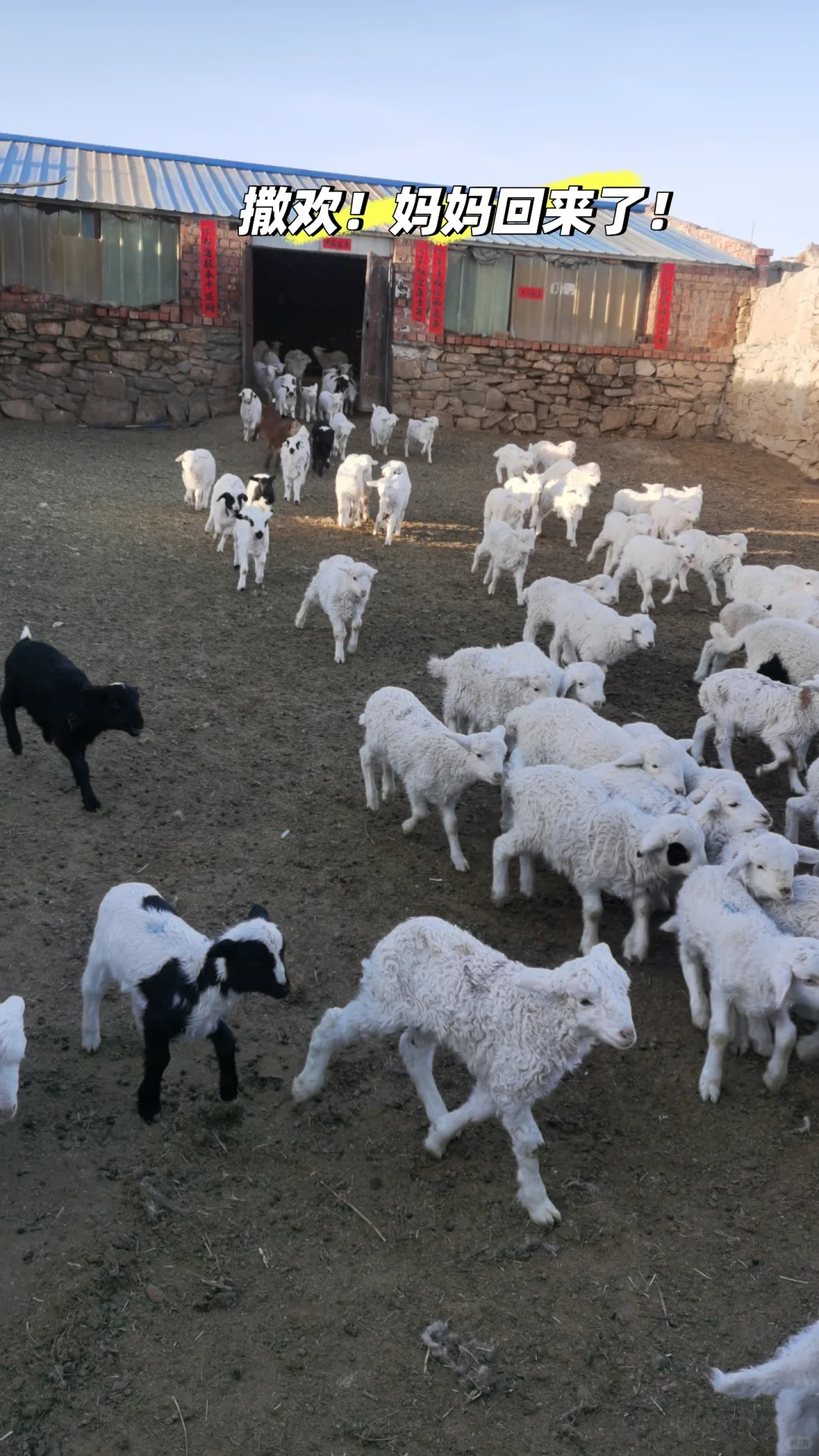 �ǡ�����С�򡱡�