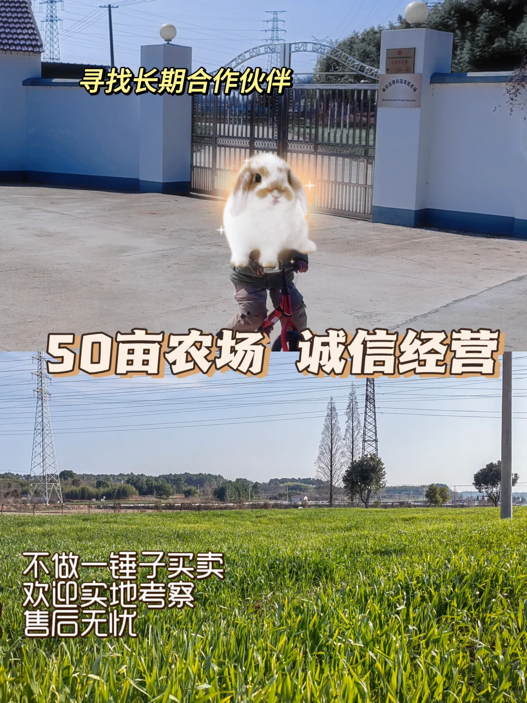 ���Ͼ�������һ�Ҿޱ��˵ĳ�����ũ��������