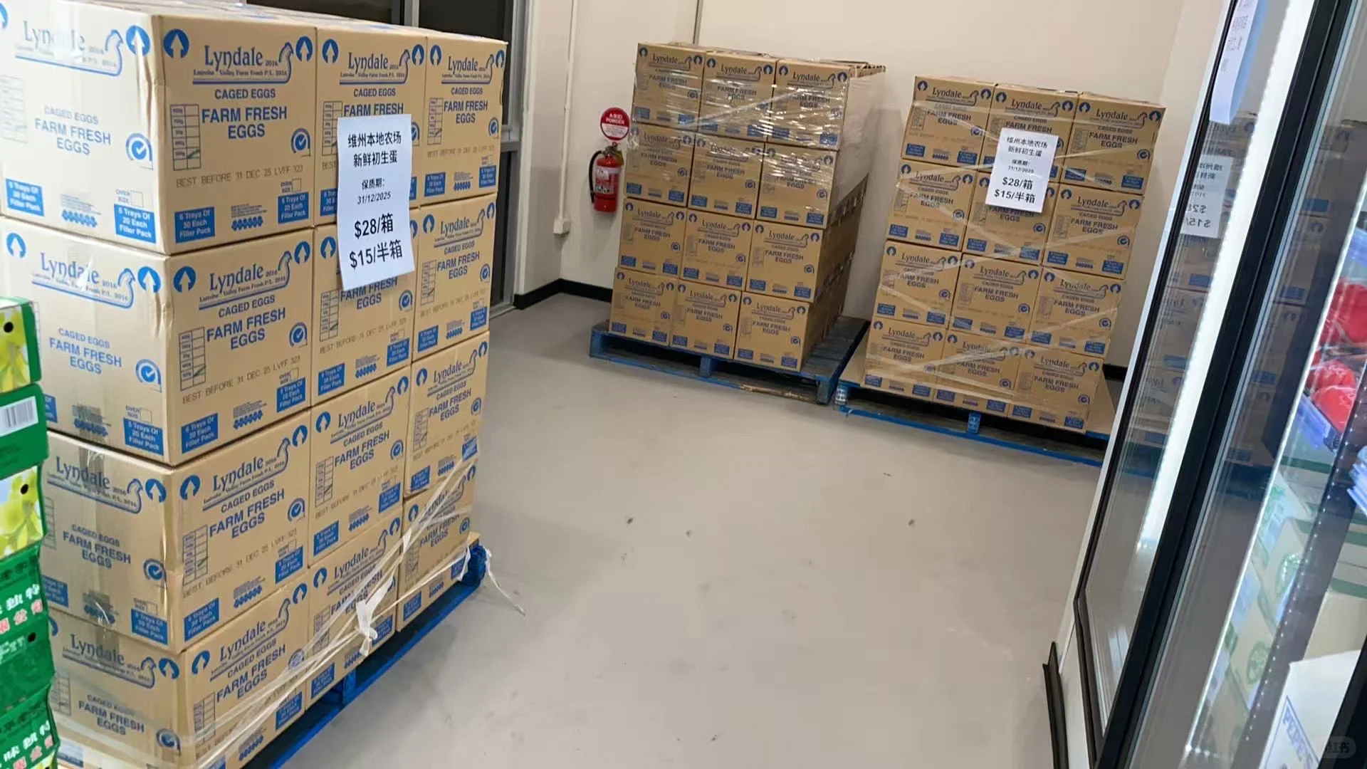 Nunawadingī����?���⵰��������