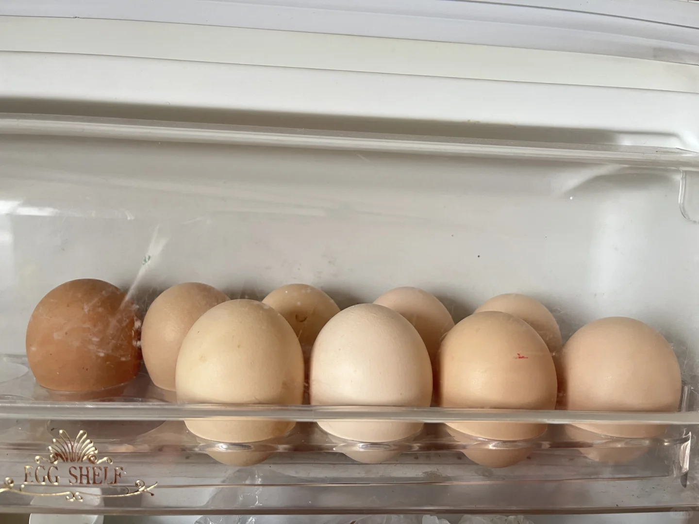 ������̫������