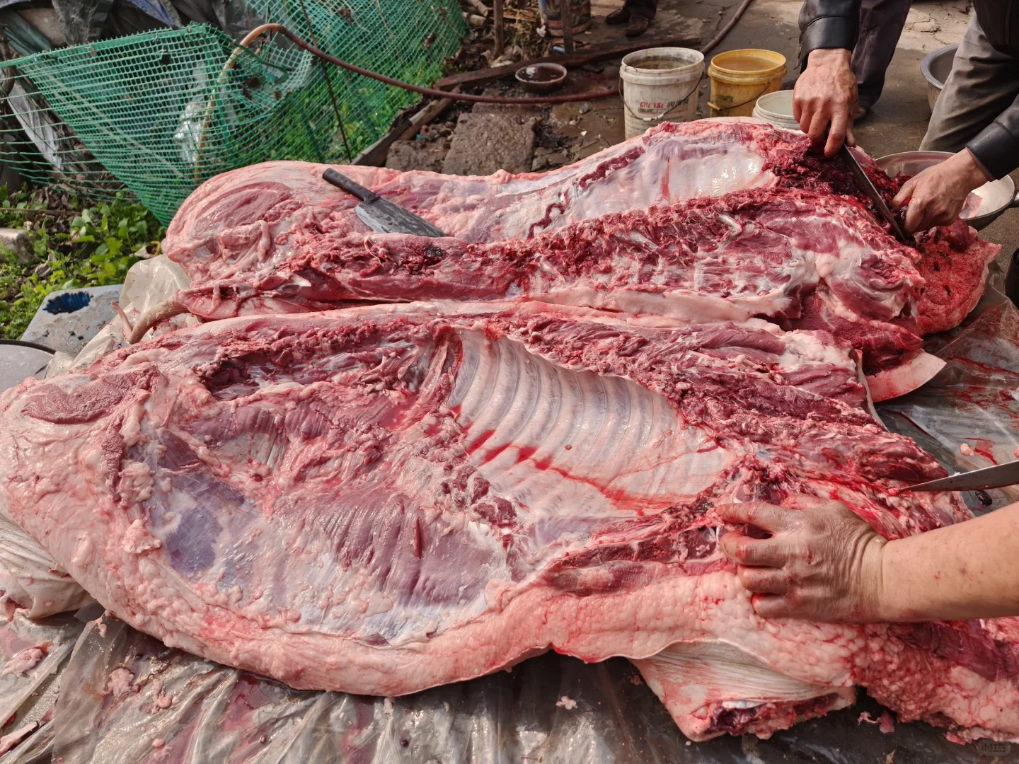 ũ����ʳ?����Ҫ����