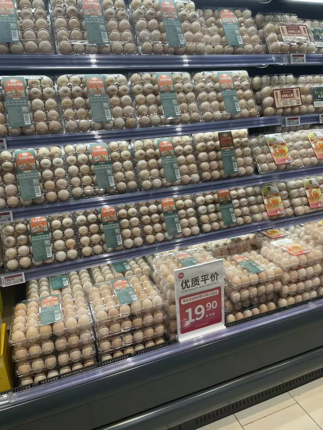 ���������Լ��Ľ���������