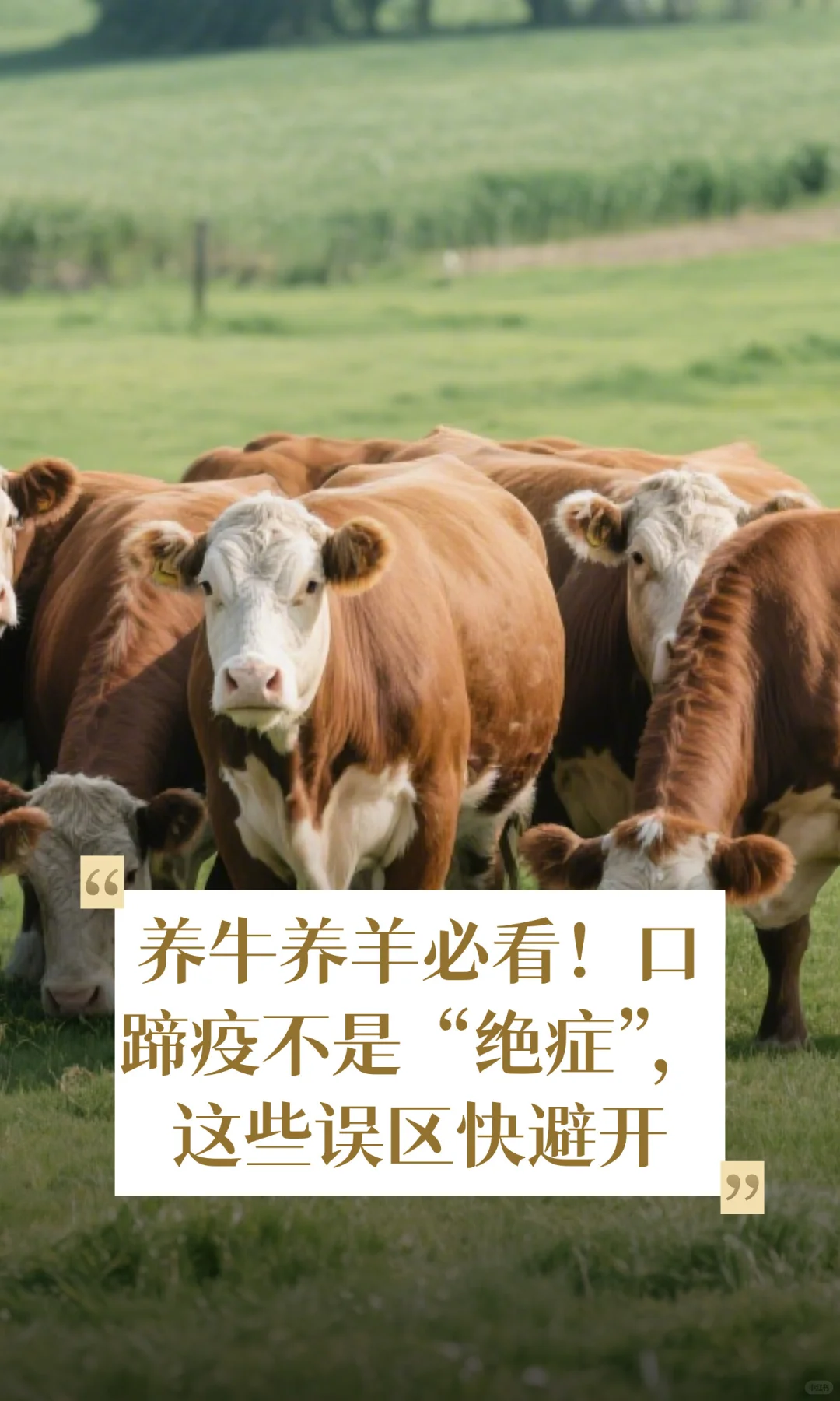 ��ţ����ؿ��������߲��ǡ���֢������Щ��