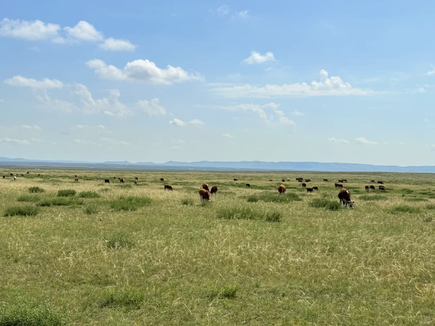 ���⻷��������ţ���ܲ��ó���