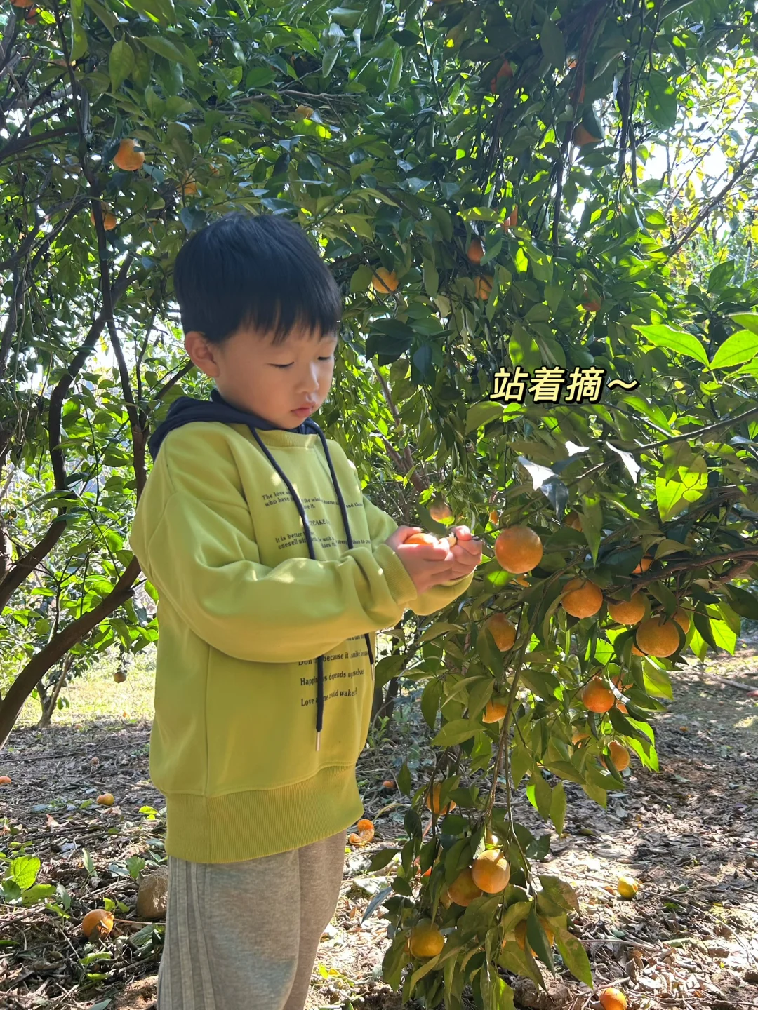 绍兴|带娃去做竹筒饭烤番薯摘橘子捡鸡蛋啦