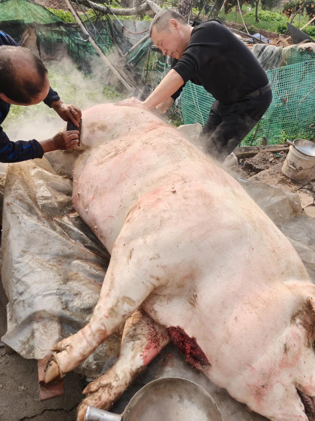 ũ����ʳ?����Ҫ����