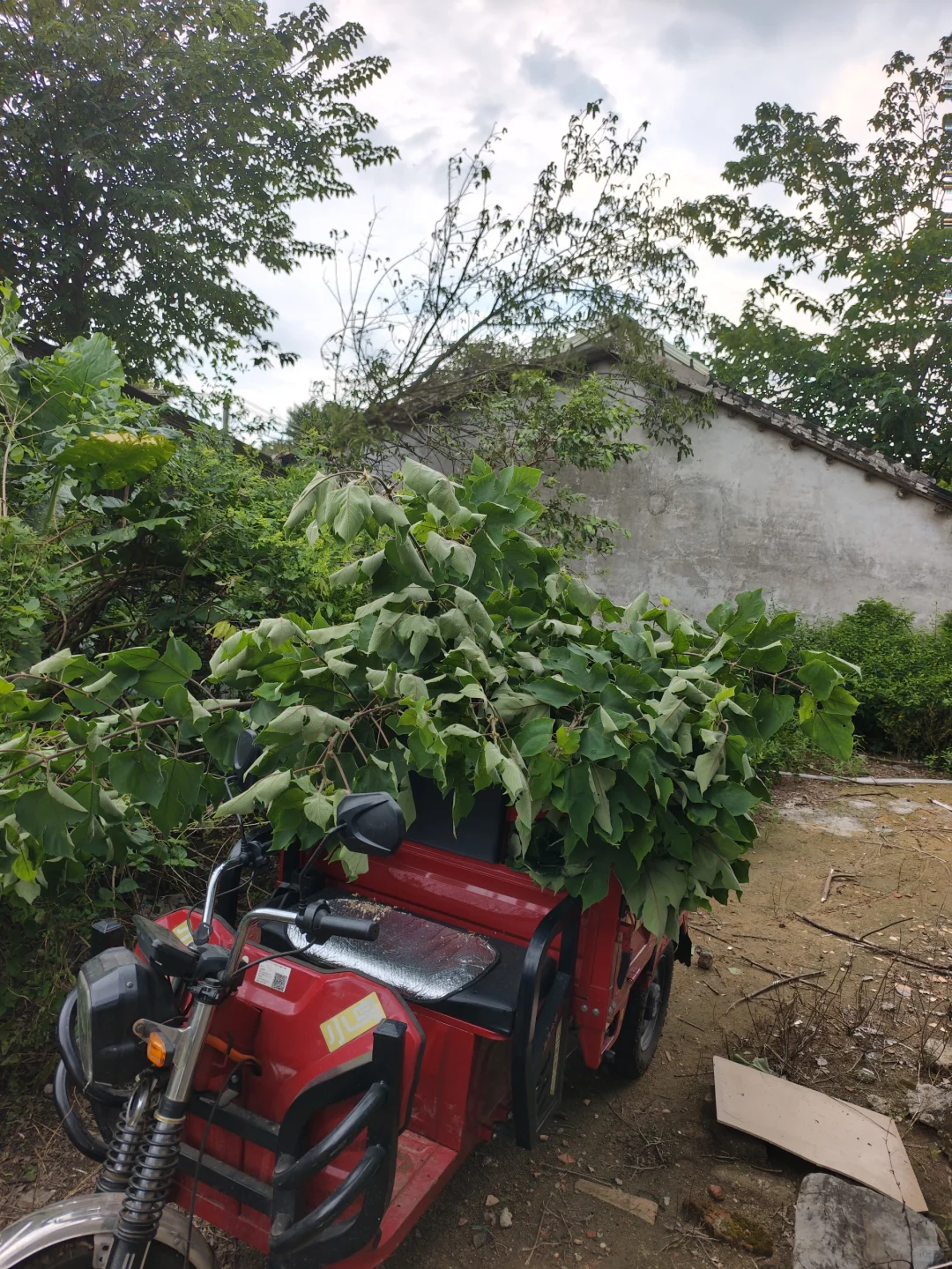 ��������С�����Լҷ�ֳɢ��