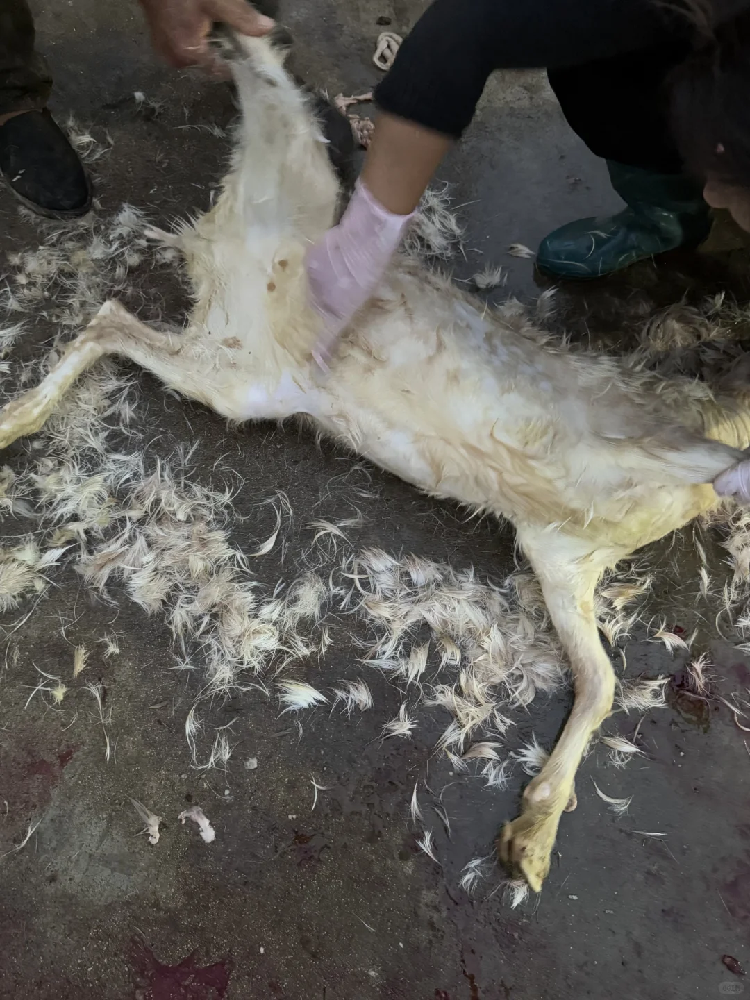 �������ֻ��Ƥ����ָ���ϣ��Ѿ�ʮ����?