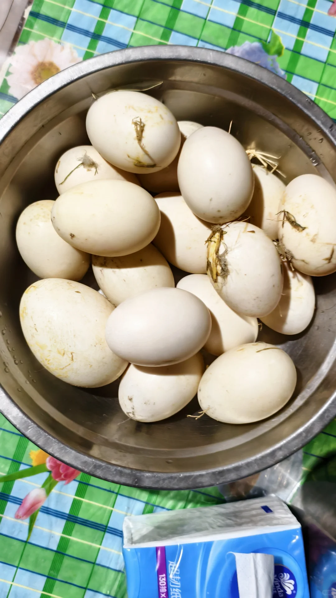 ����ƪ|�Ϸ�������