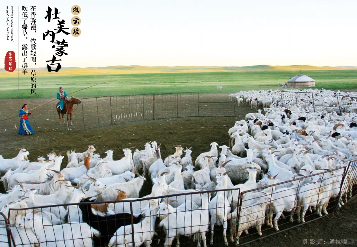 ���ҥ�����ɹŲ�ԭɢ�������