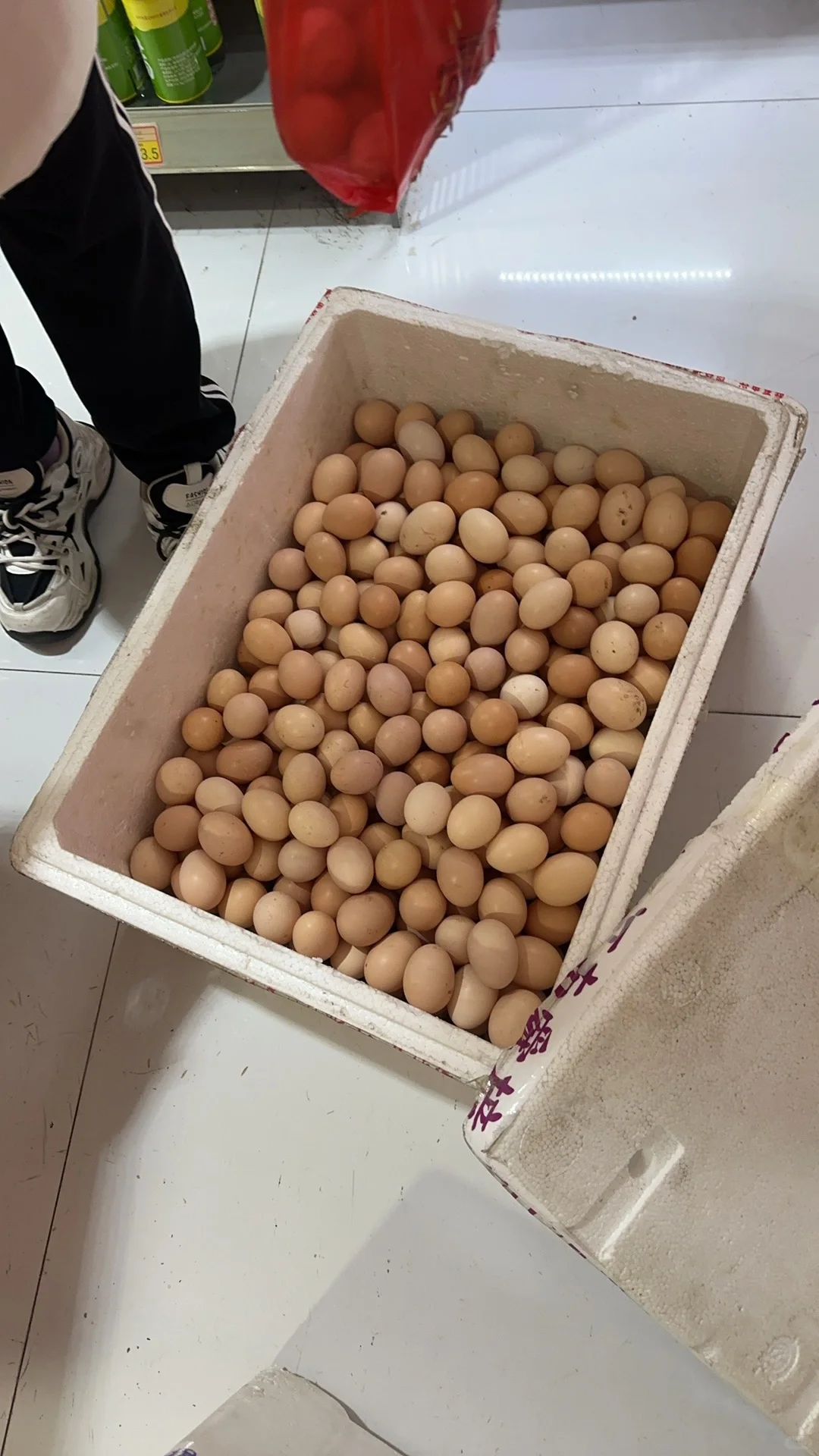 ɢ�������� ��ӭ�˽�