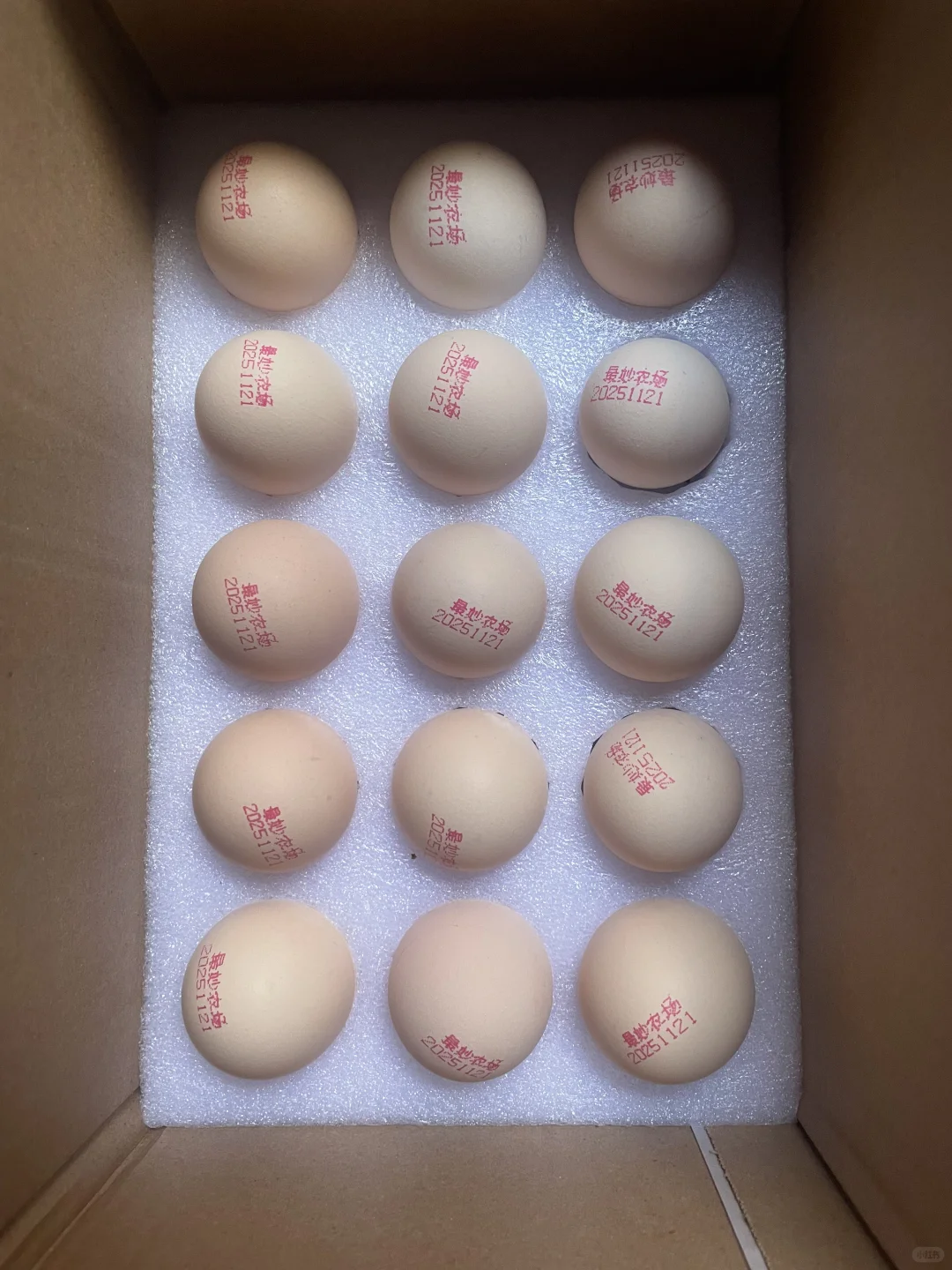 ��ƴxx��ļ�������