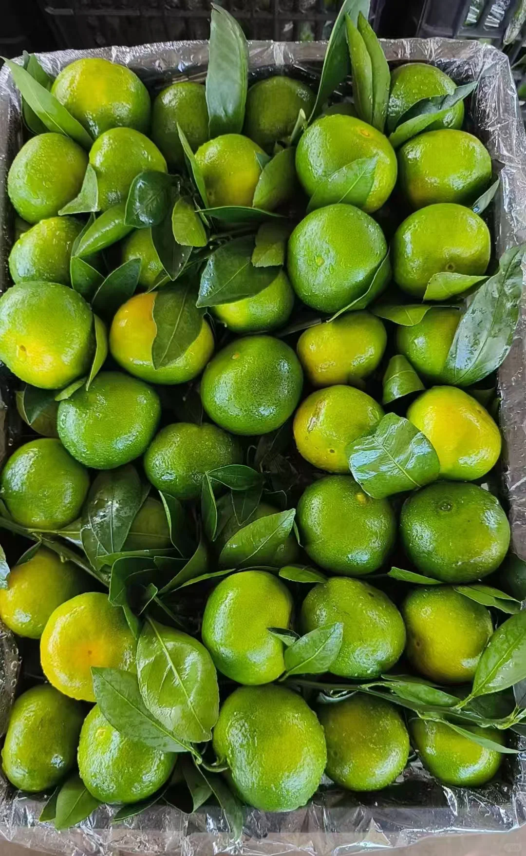 2025��11��27�������ũˮ�������۸�