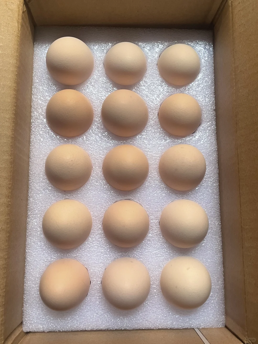 ��ƴxx��ļ�������