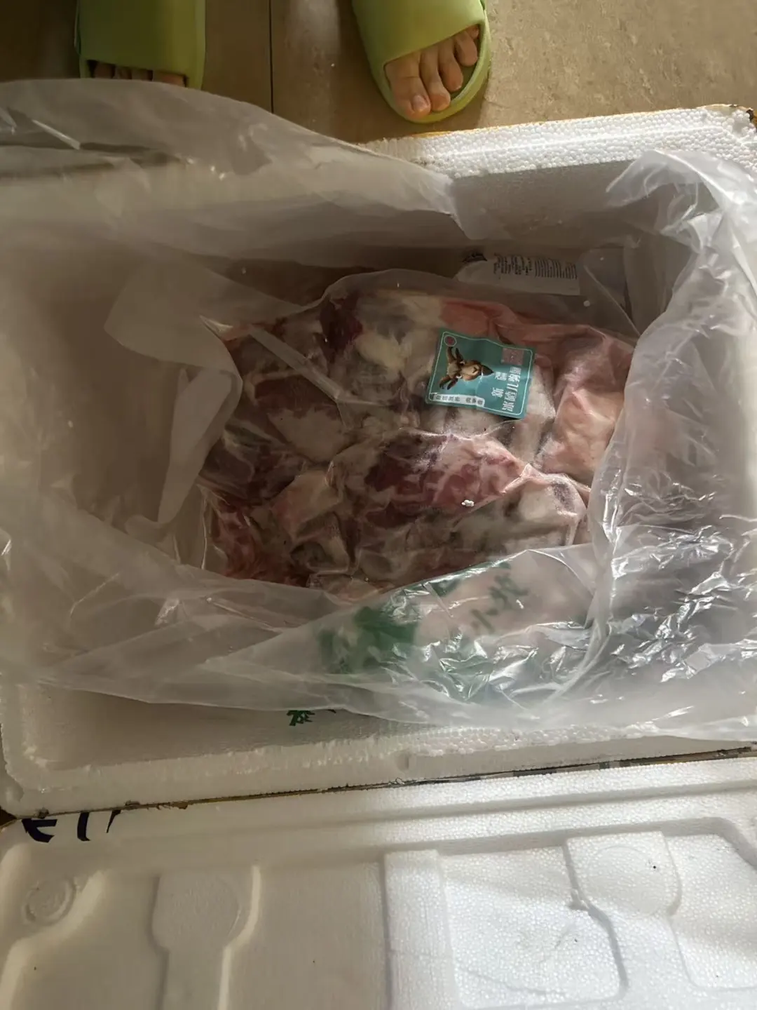 ����㶫������������һֻ��Ĺ���