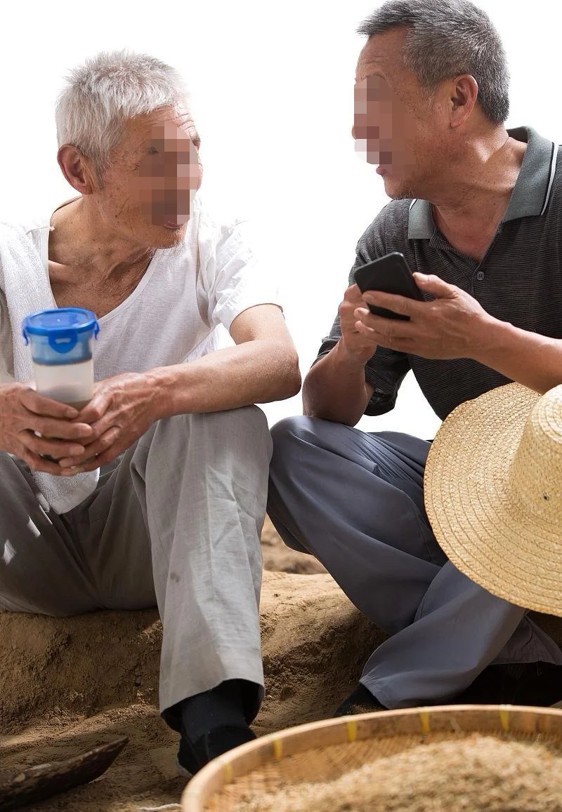 别傻等还钱了!20只羊抵债,非养羊人也不亏