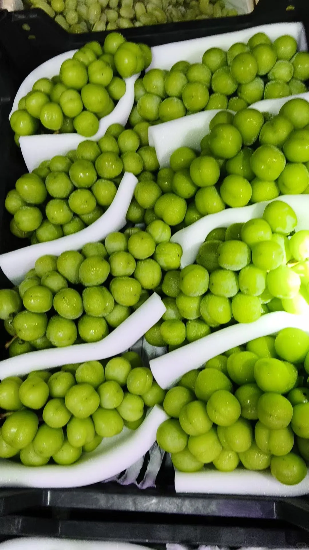 2025��11��27�������ũˮ�������۸�