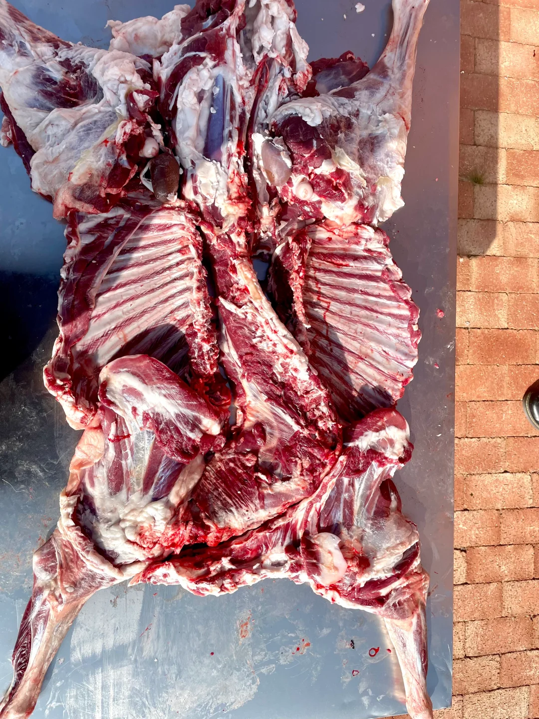 ������ �����ɵ����� �����Լ�������������