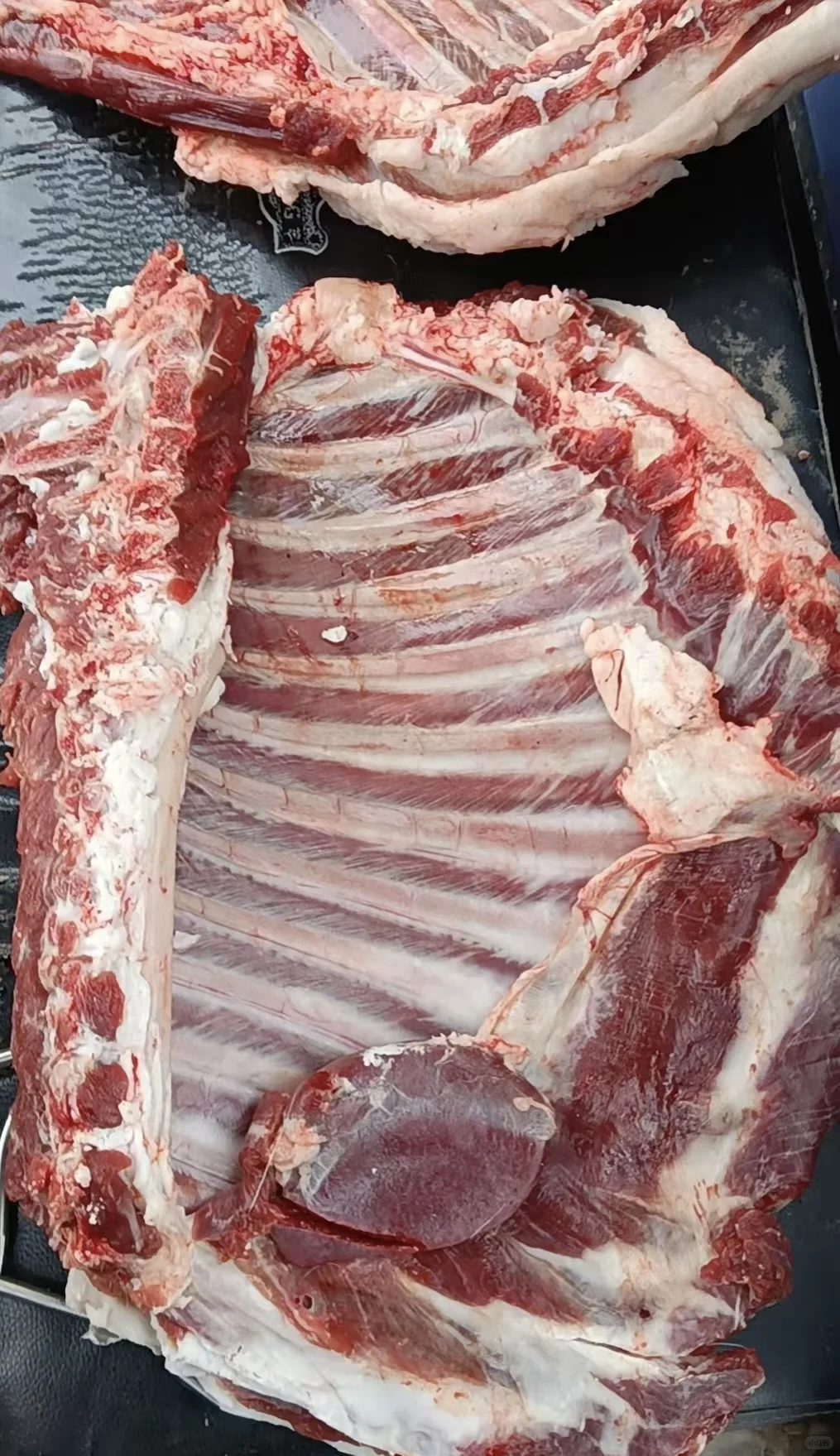 ����ţ����