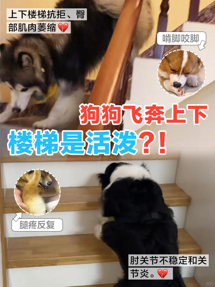 Ϊʲô80%�Ĺ������йؽ����⣿